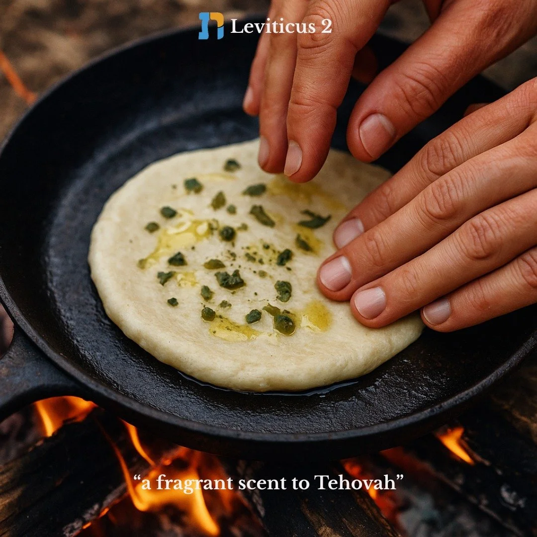 In our study of Leviticus 1, we found the text rich, visceral, and surprisingly personal&mdash;Tehovah teaches us how to come close to Her. The word קָרְבָּן (korban) derives from the root ק.ר.ב, meaning &ldquo;to come close&rdquo; &mdash; and, inter