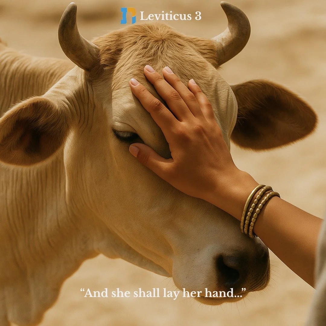 Join us this Sunday, Nov. 16, 1-3PM ET for the study of Leviticus 3.

Last Sunday, in our study of Leviticus 2 we discussed the prohibition on sacrificing sourdough bread and honey (2:11). An interesting comment on this prohibition, made possible thr