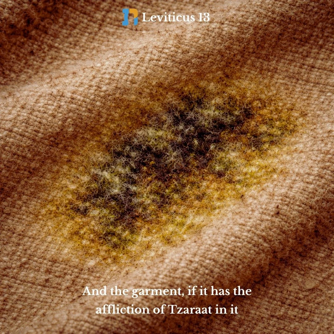 Join us this Sunday, Feb 8, 1-3PM ET for the study of Leviticus 13.