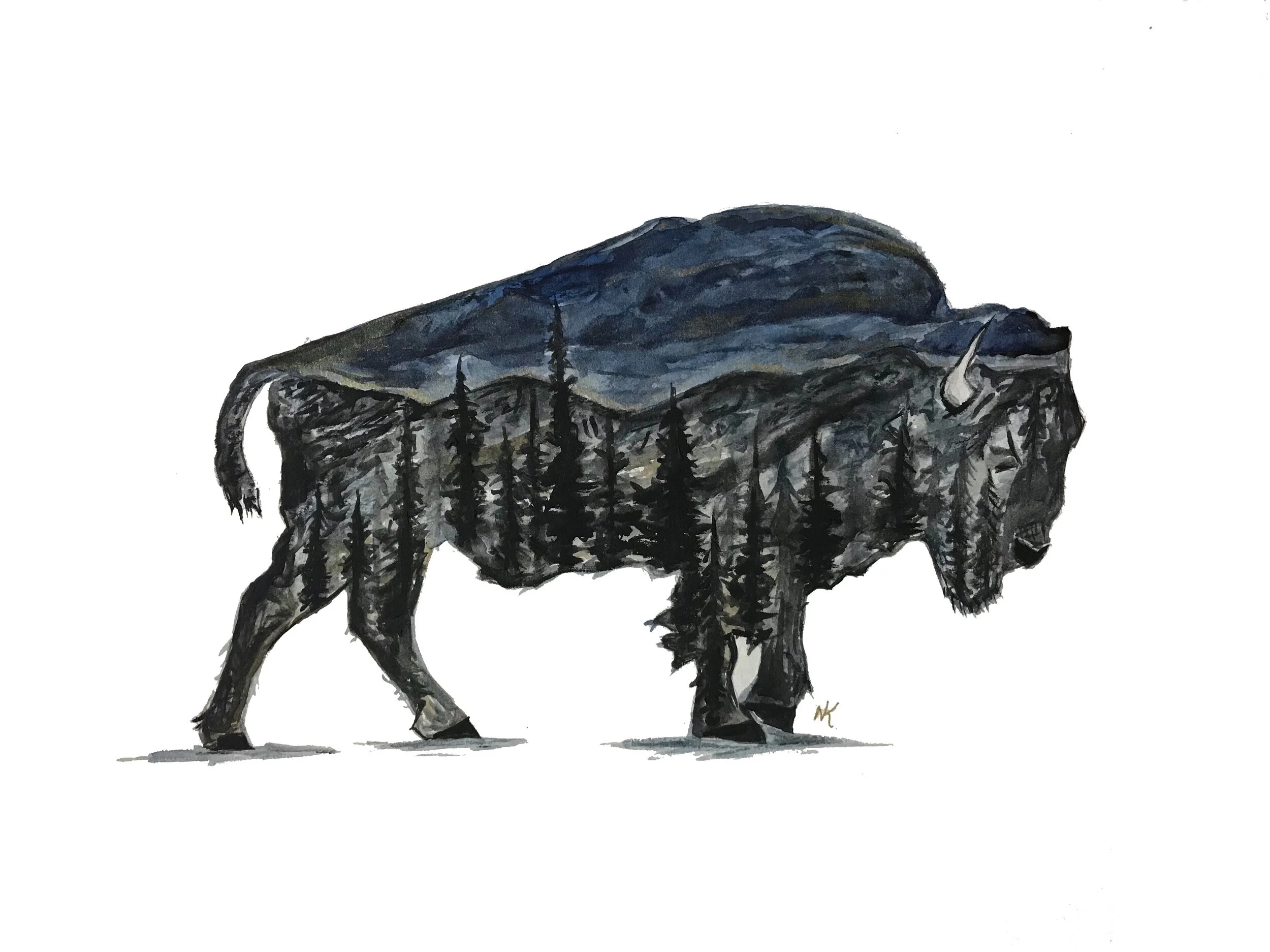THE BUFFALO.JPG