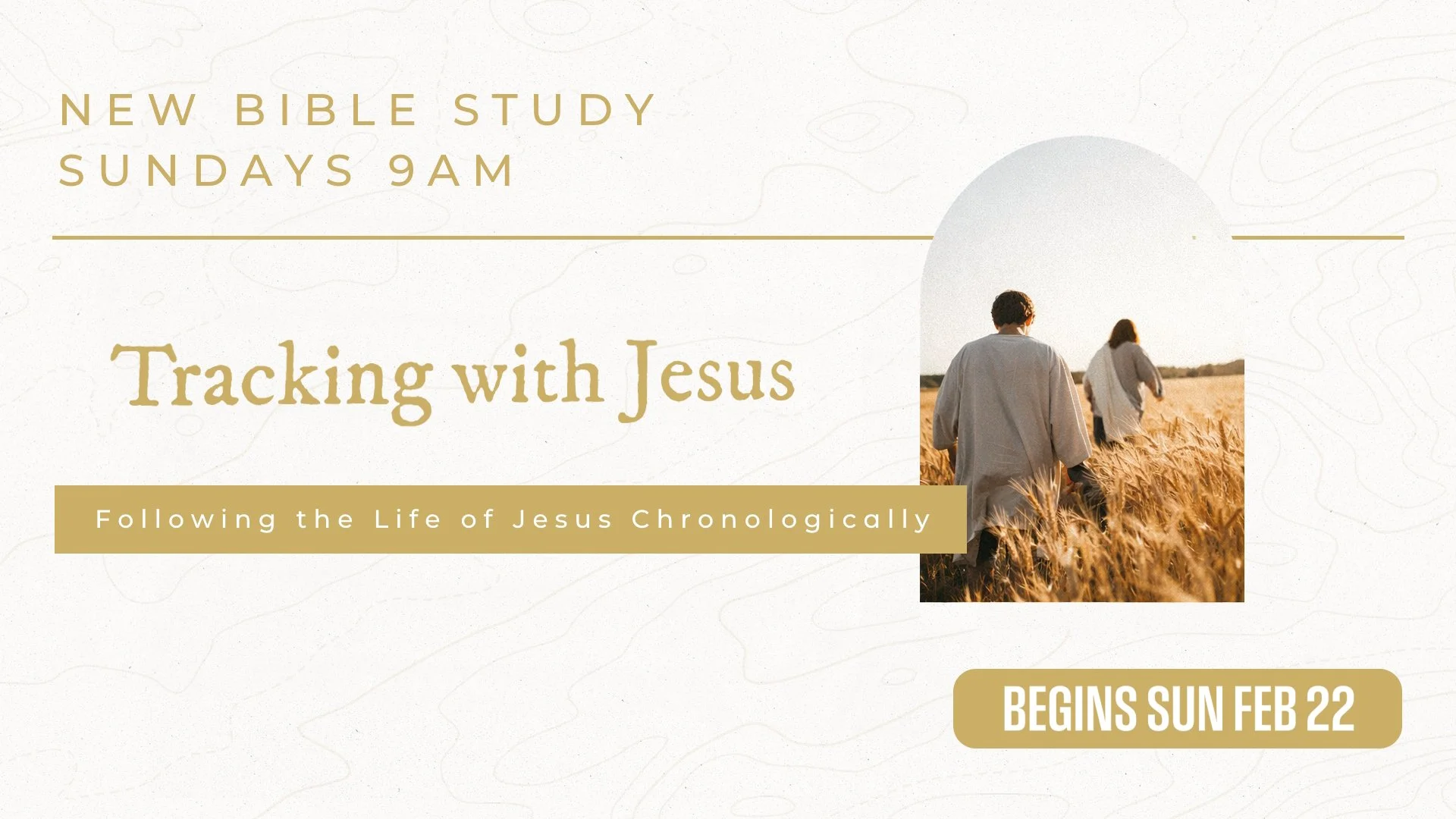 New Sunday Bible Study