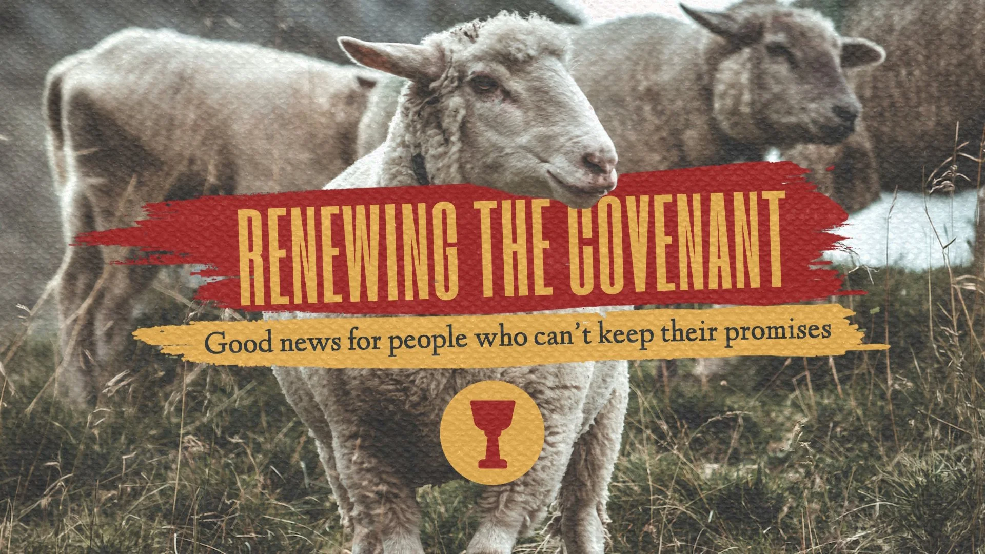 Renewing The Covenant
