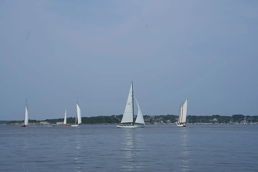 DSC05838.jpg