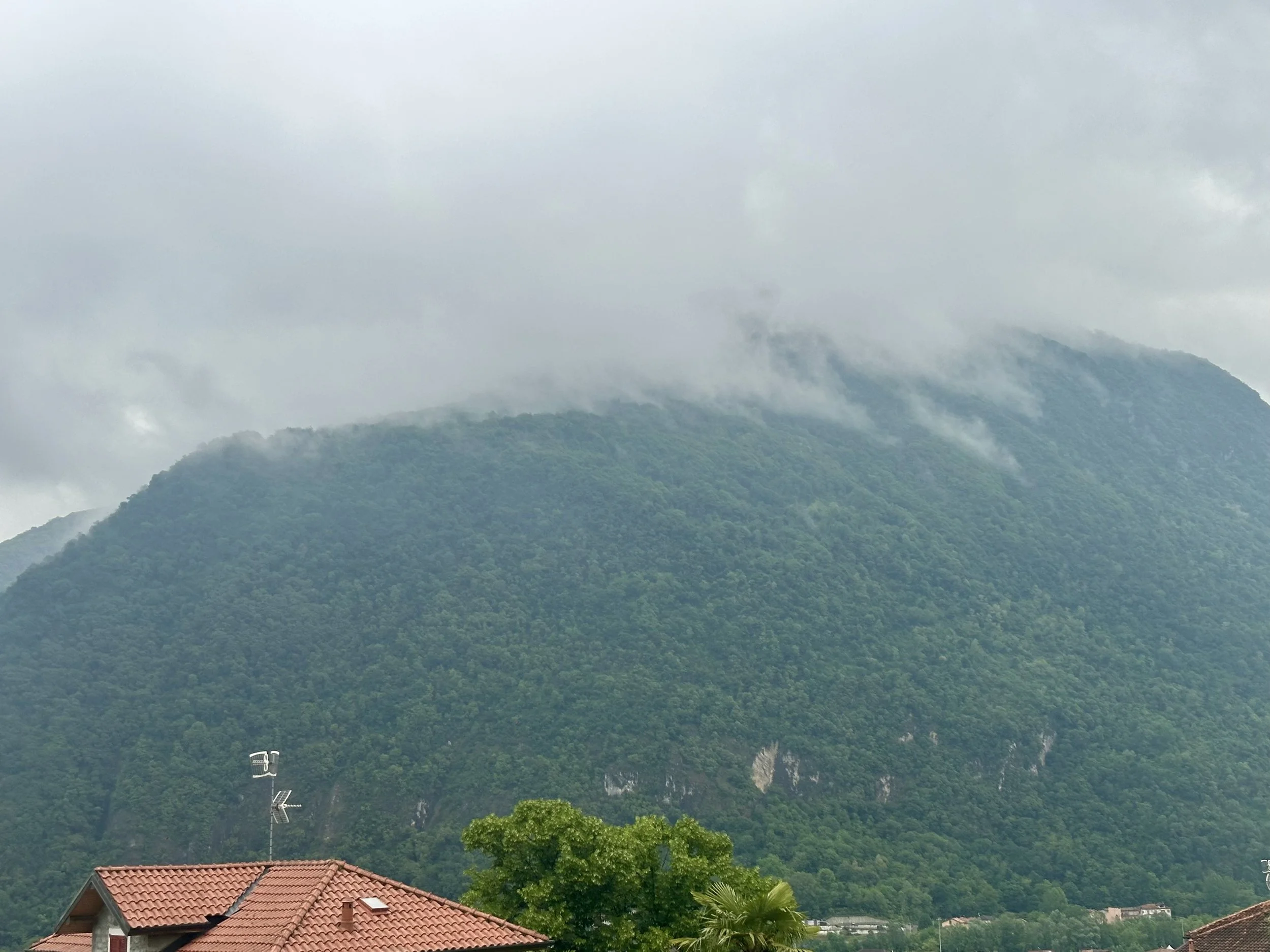 IMG_1937.jpeg