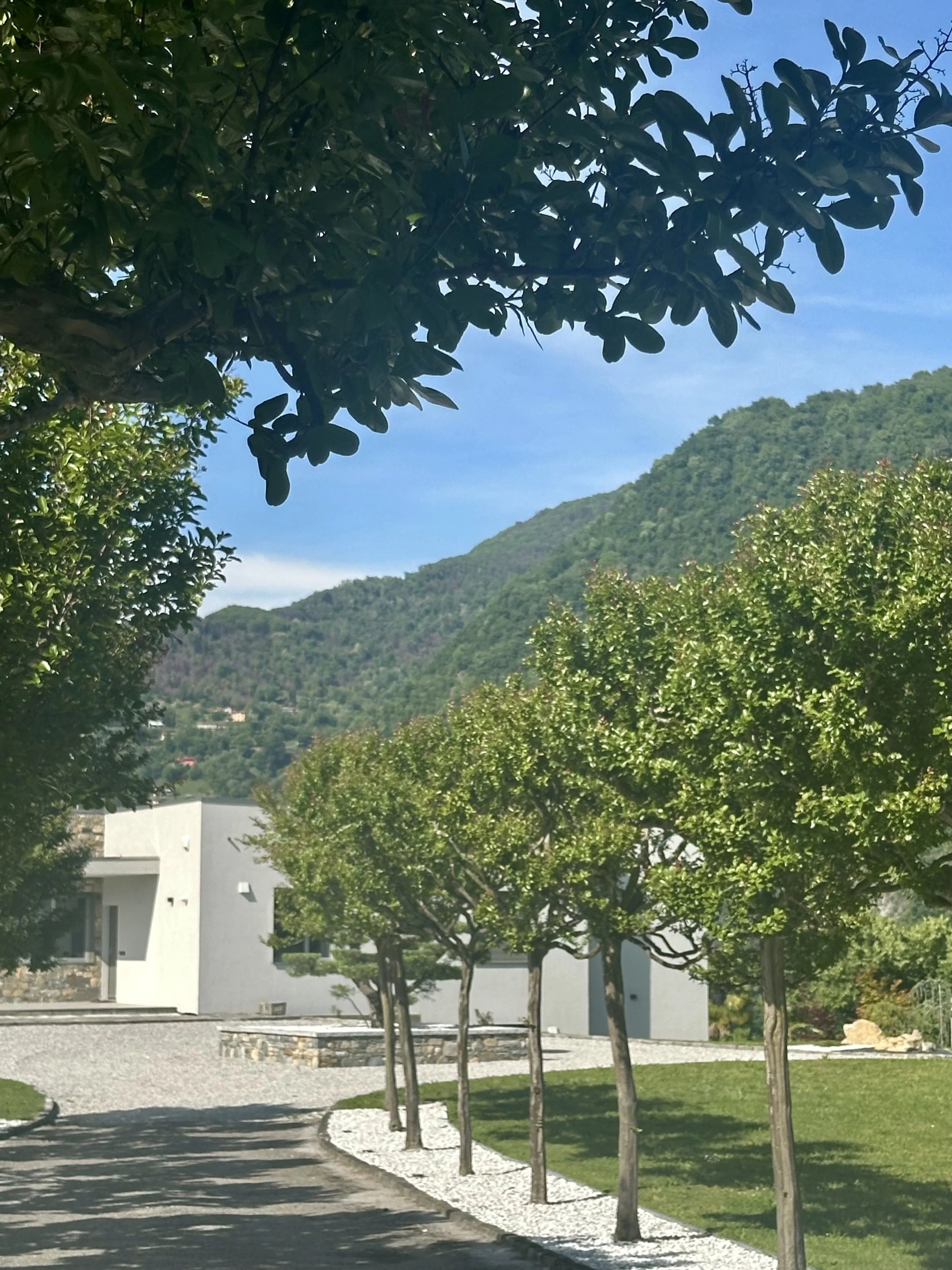 IMG_2808.jpeg