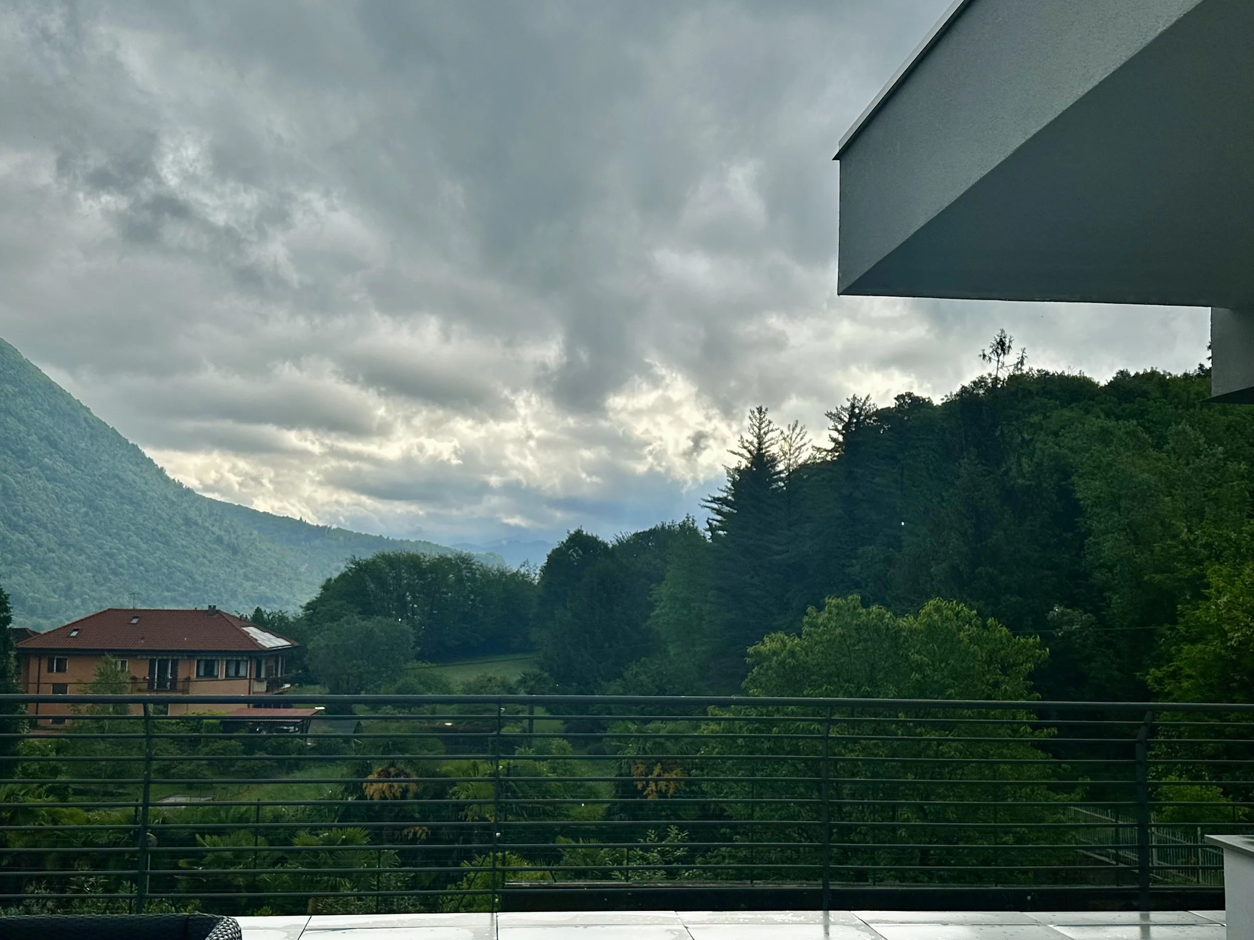 IMG_1932.jpeg