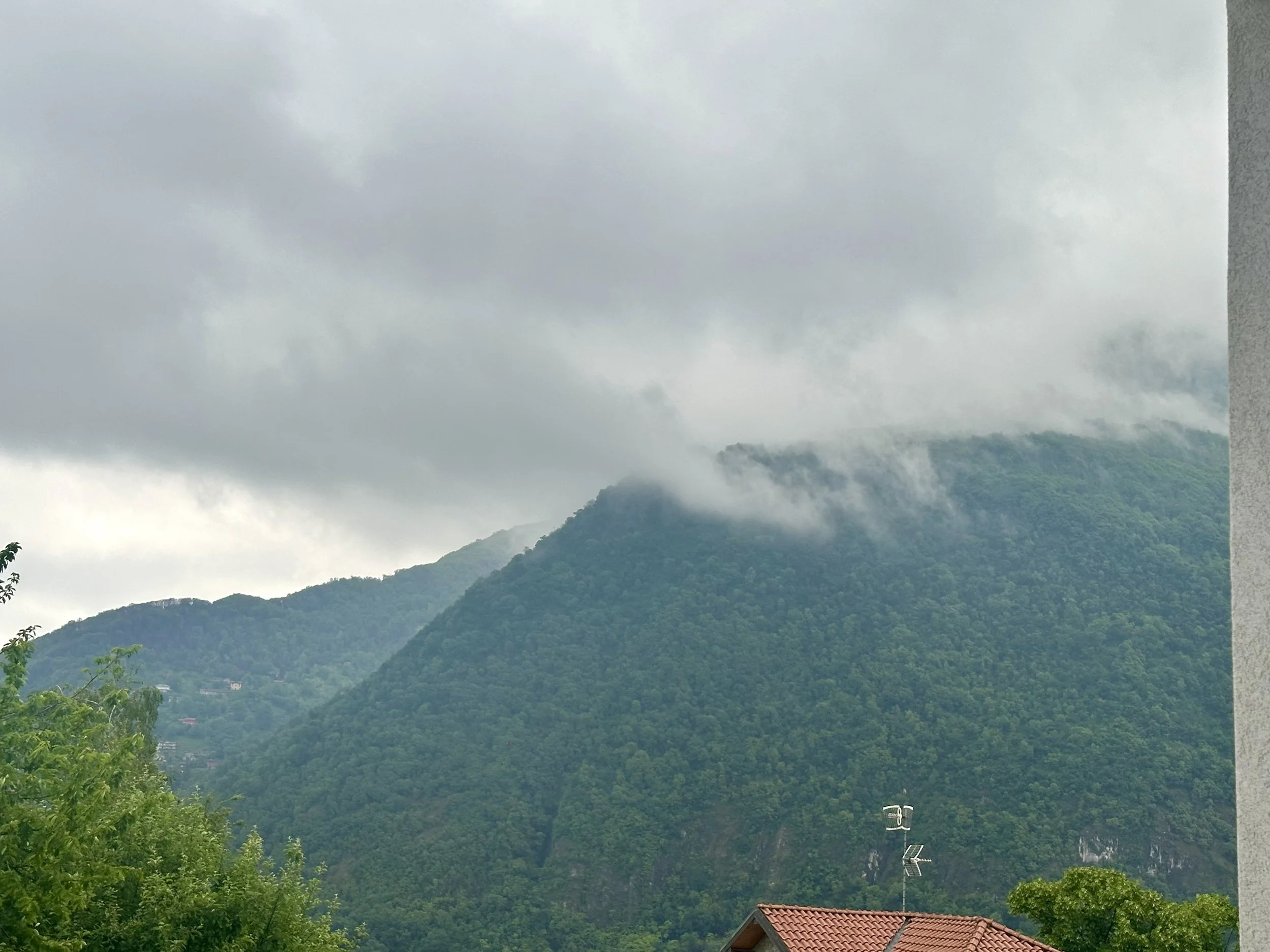 IMG_1953.jpeg