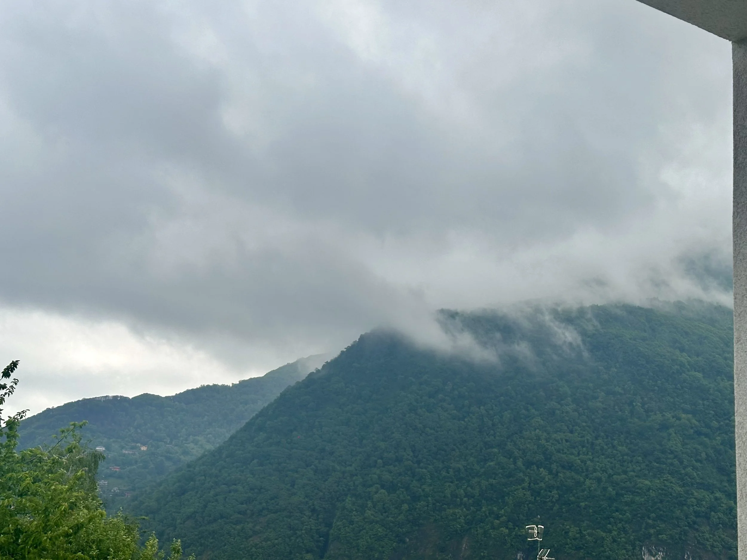 IMG_1952.jpeg