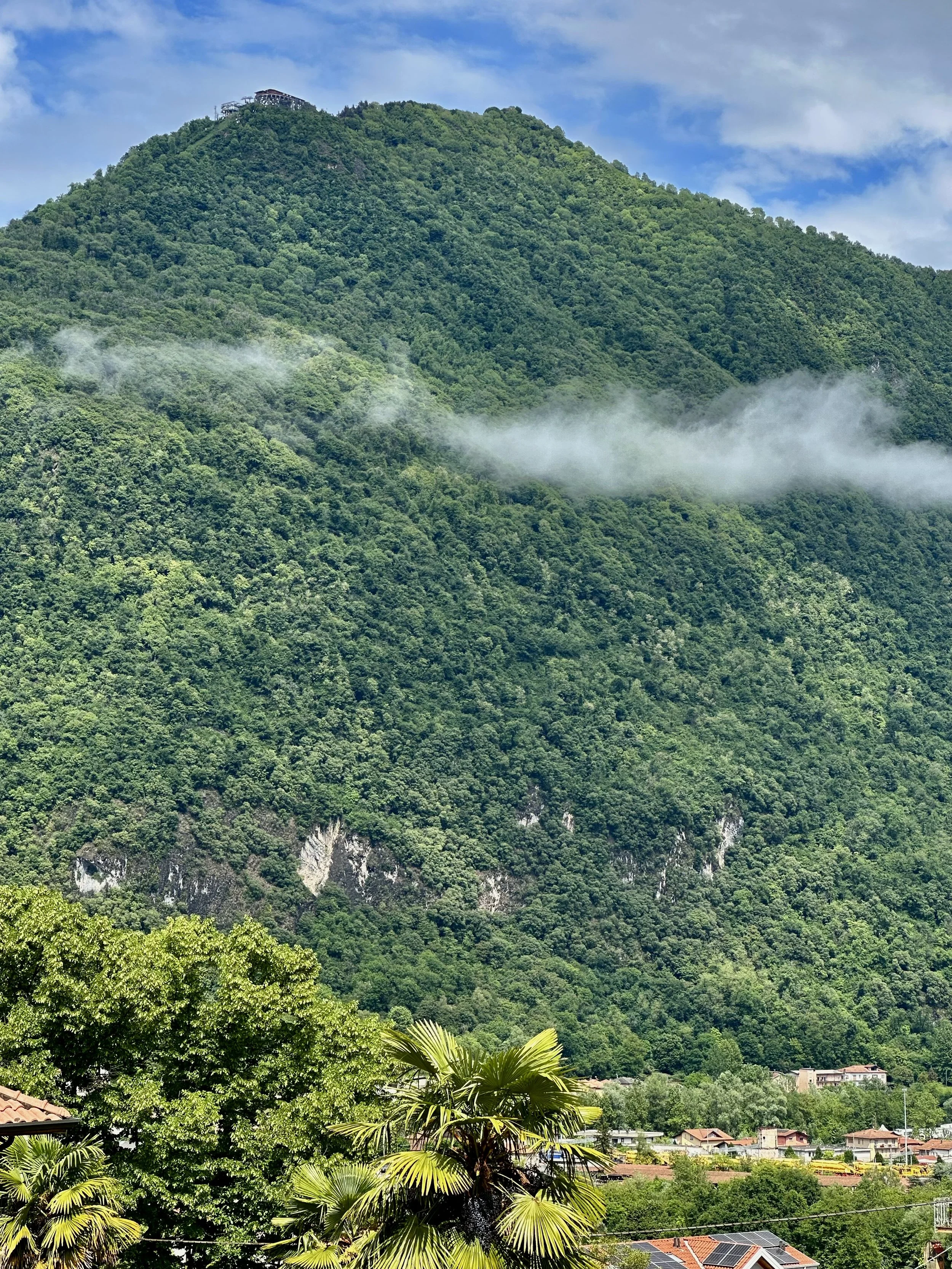 IMG_2018.jpeg