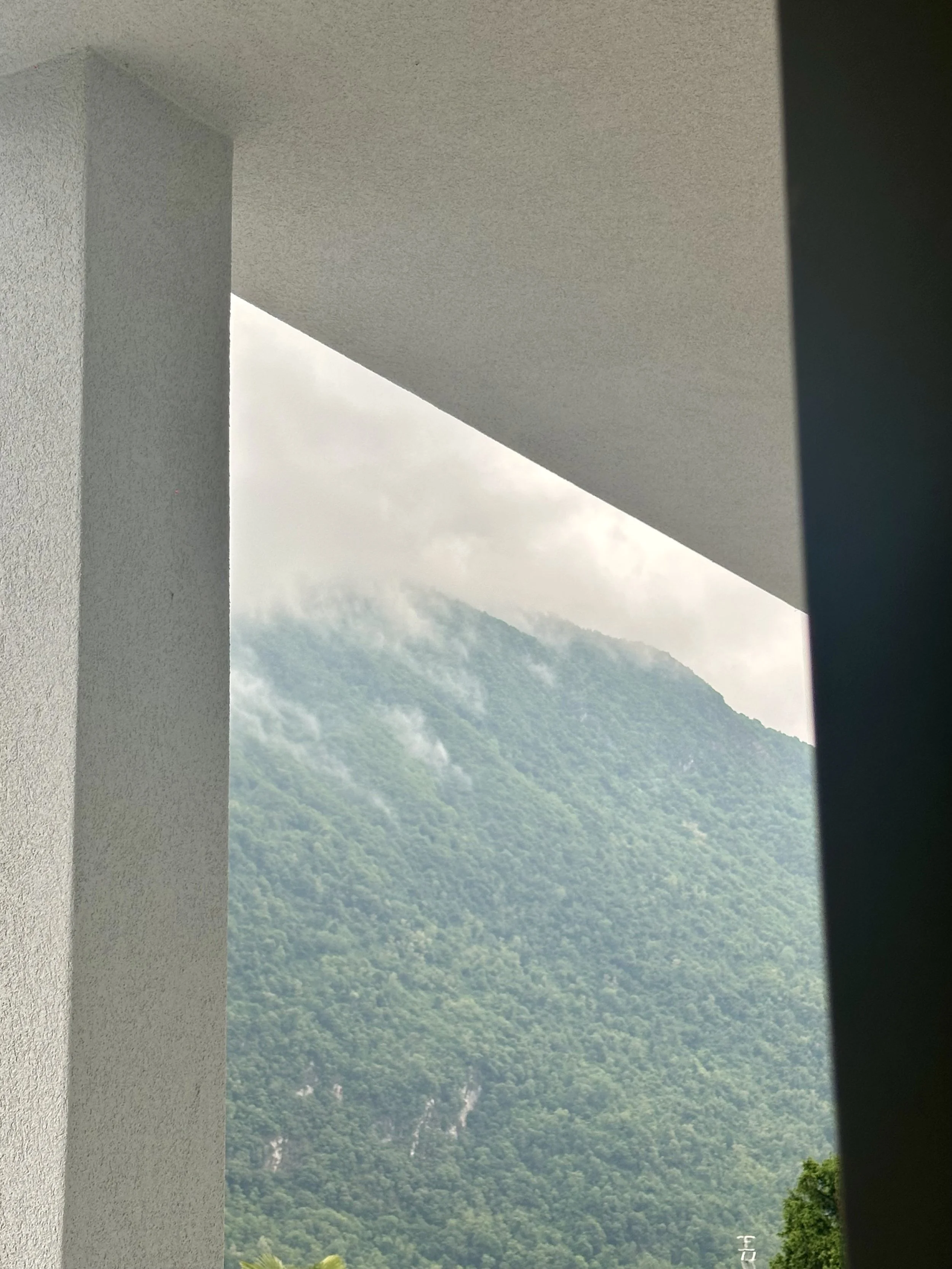 IMG_1955.jpeg