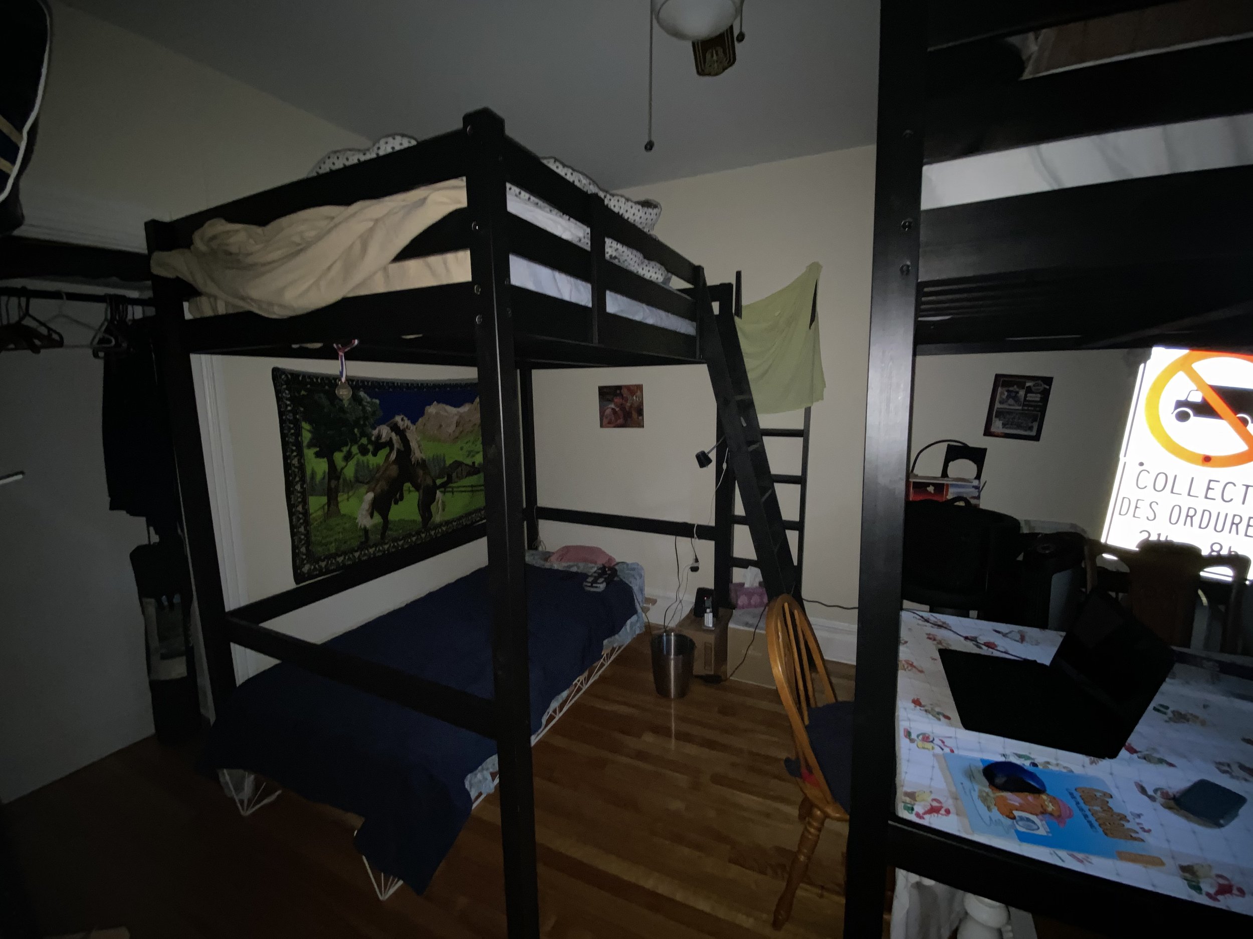 IMG_2726.jpeg