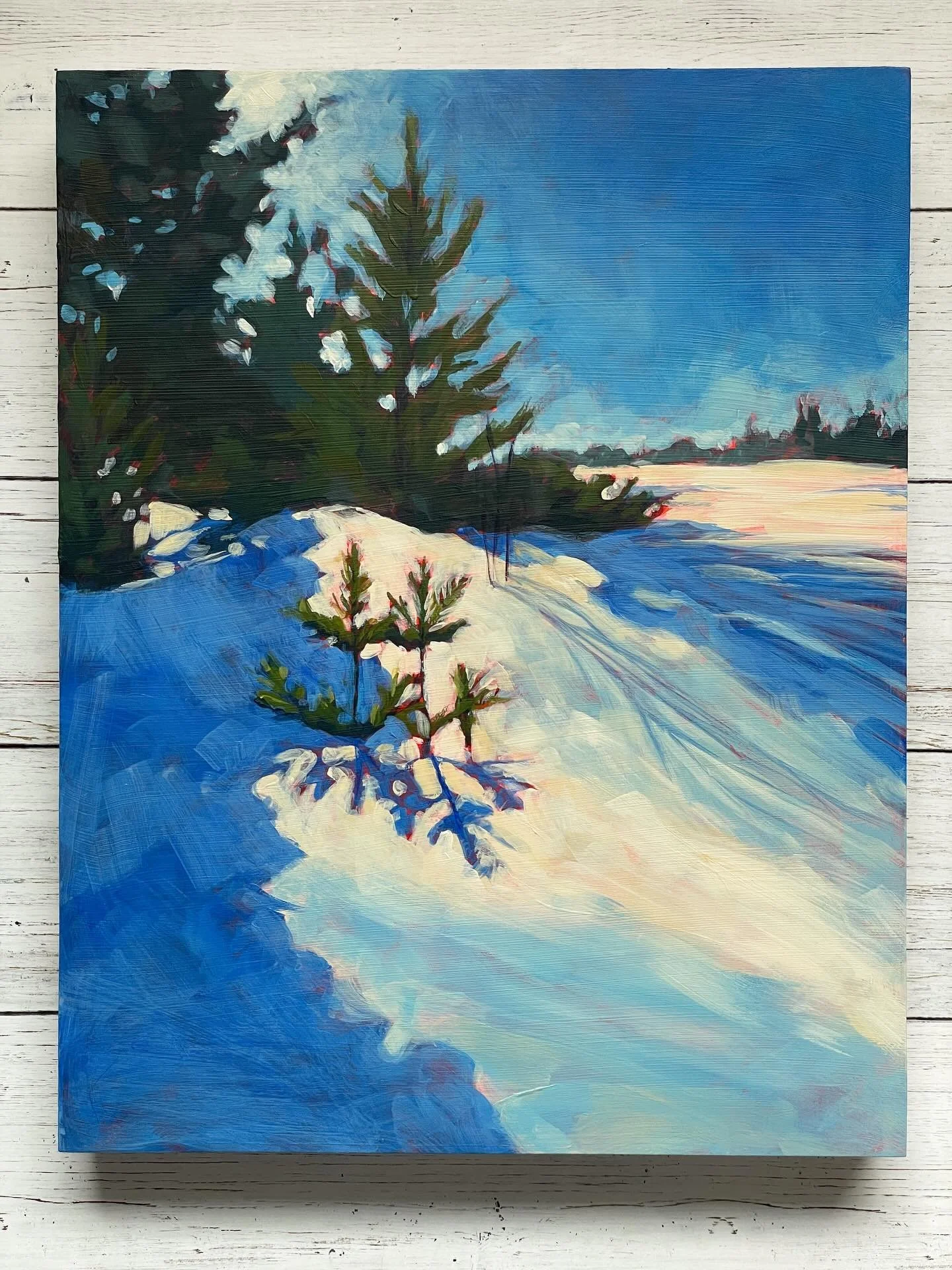 We still have a lot of snow on the ground here in Northern Michigan, but the sun is showing up more and more! ☀️❄️❤️