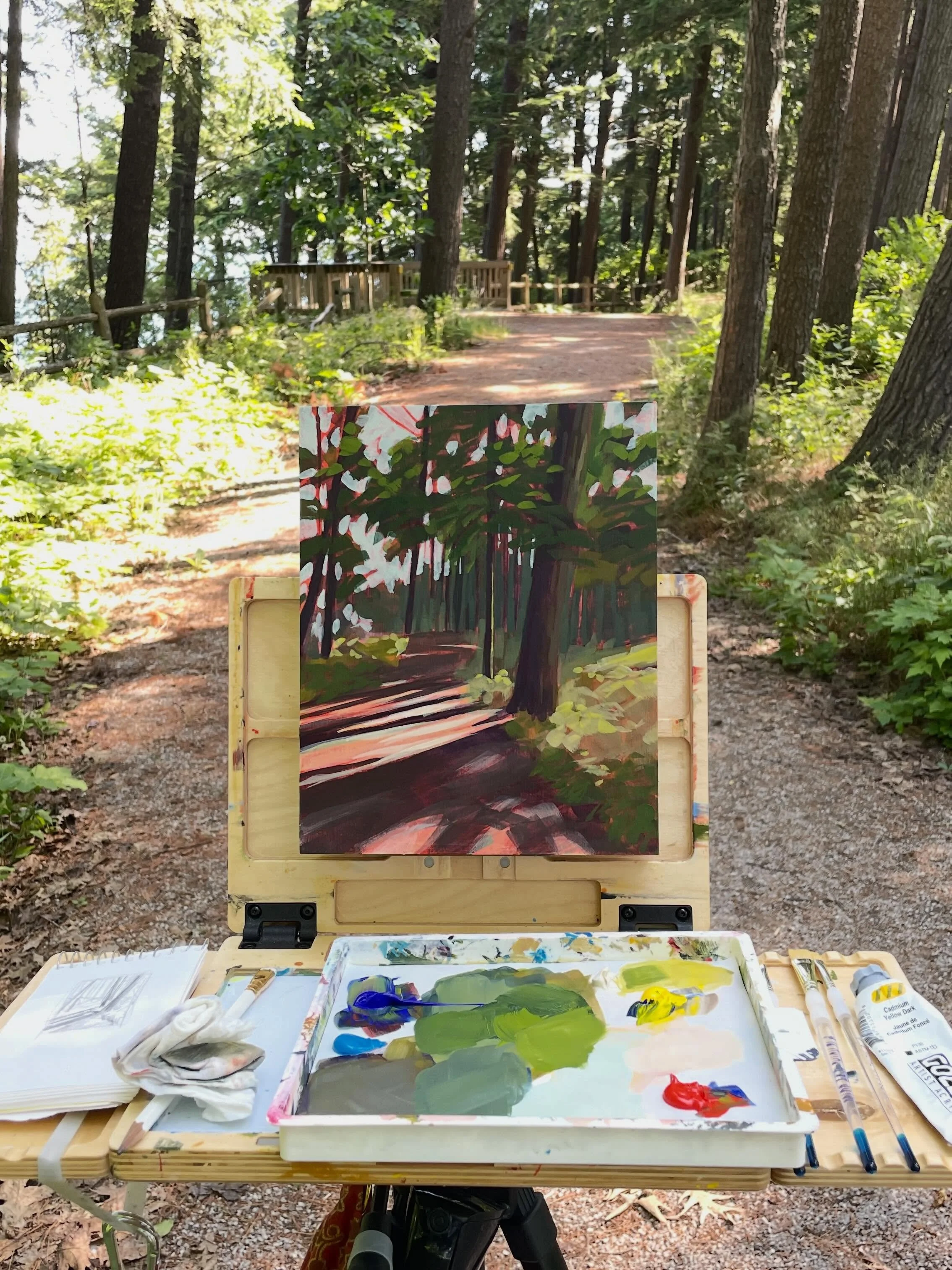Have you ever wanted to try plein air painting? Join me at @ahrensgallerystudio June 18 for a demo and time to paint in the beauty of the outdoors! @crookedtreepetoskey is offering this fun opportunity. You can register on their website under classes