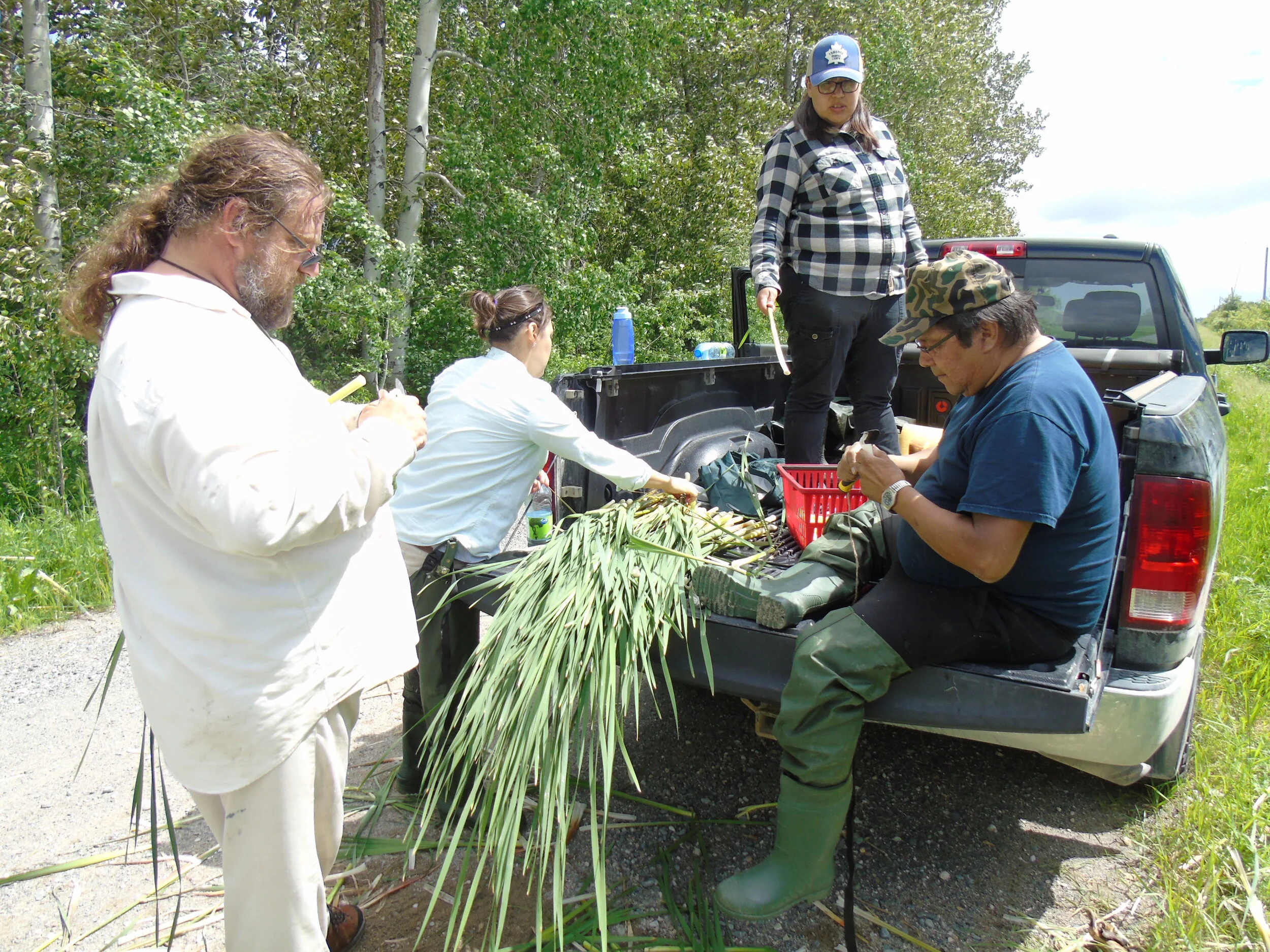 About — Ni Dakinan - Herbarium