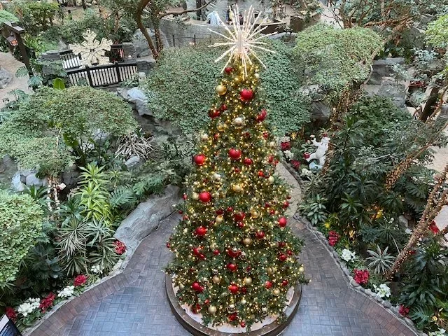 Sams Town Tree.webp