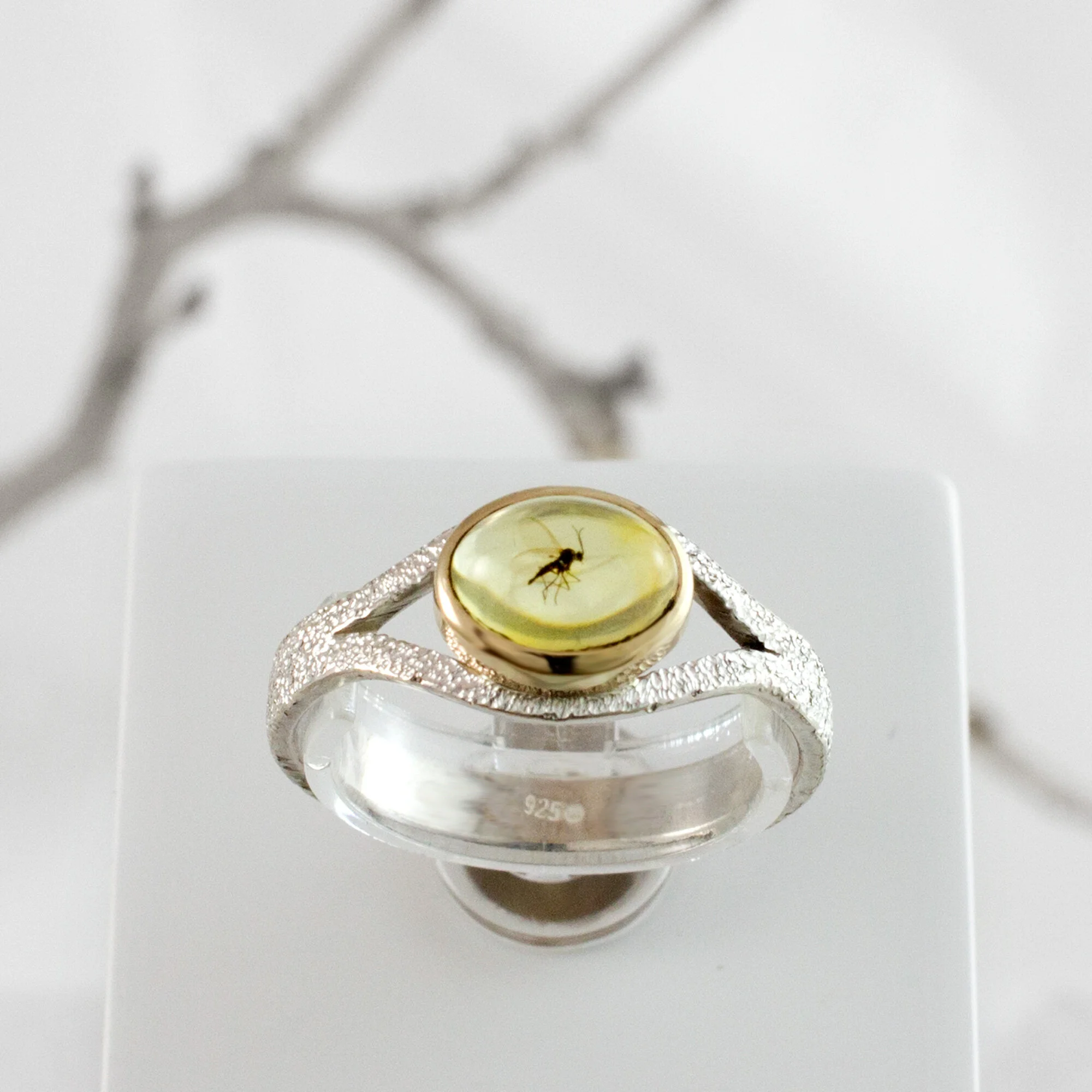 R1-100920-2.jpg
