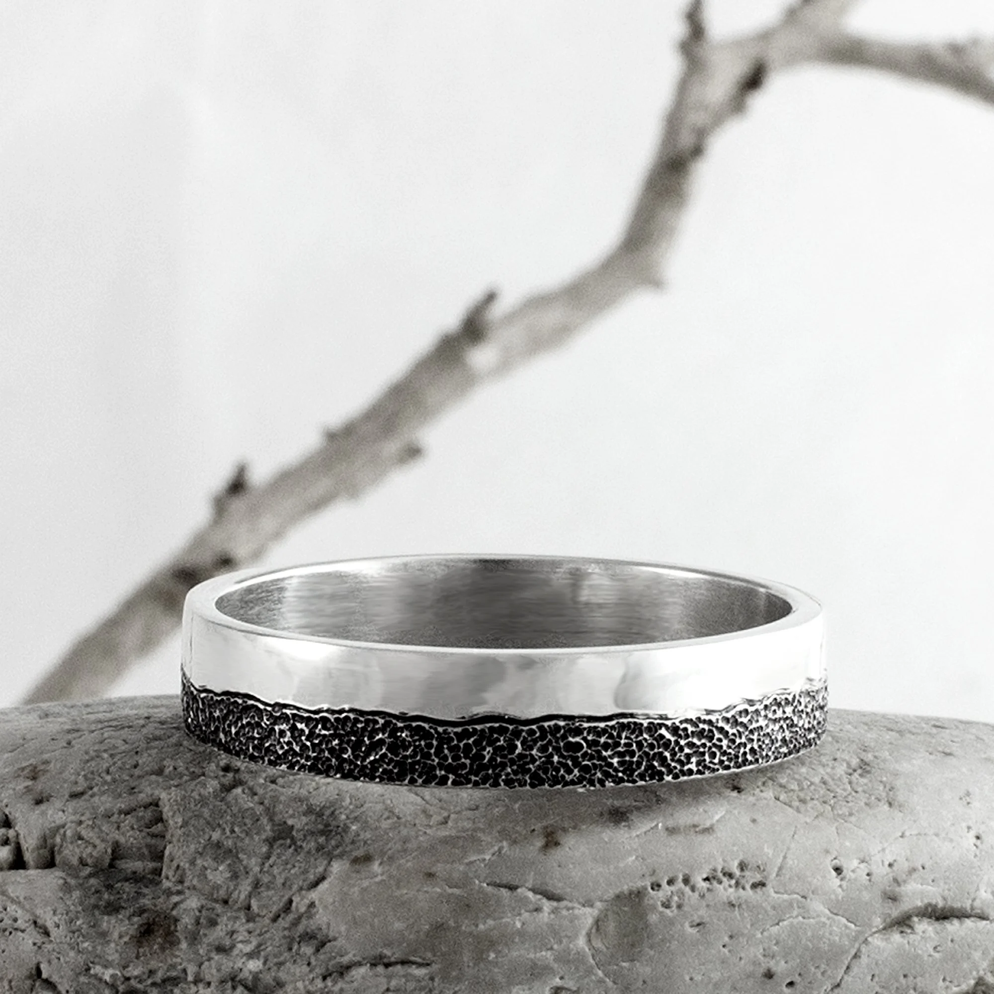R1-310123-3.jpg