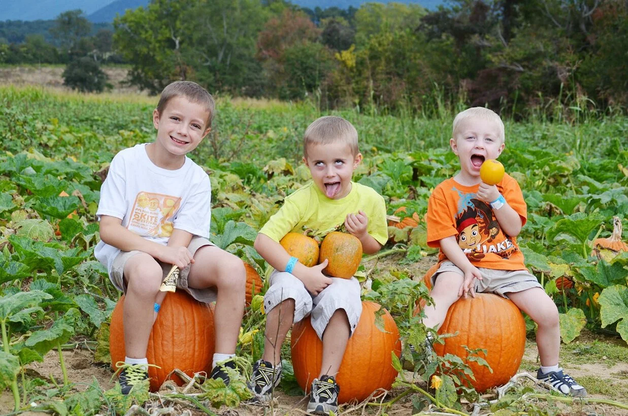 Had a great homeschool field trip today!!  The kids enjoyed everything. The wagon ride, pumpkin patch, cow train and much more!  The apple sippers in the jack-o-lantern plastic bottles were a very refreshing drink on such a hot day! And the staff wa