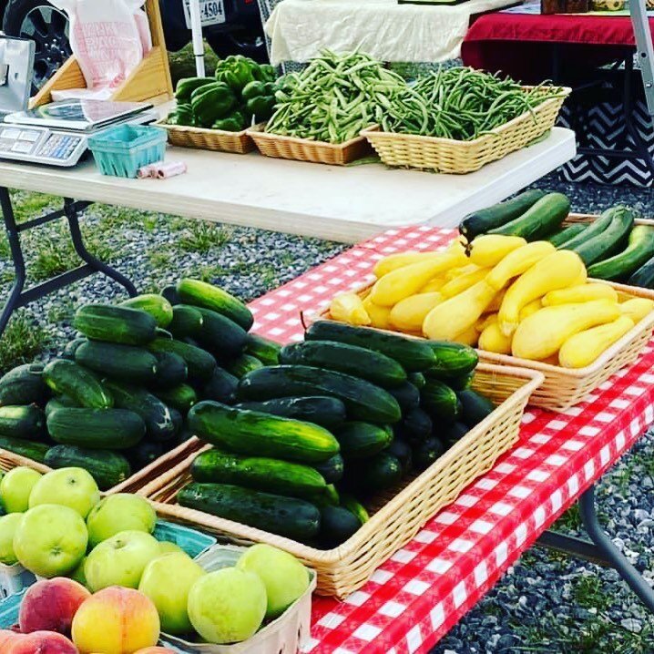 Come get your fresh produce at the Daleville Farmers Market tomorrow June 26th from 9am-12pm.

We will have the following 
Yellow Squash
Zucchini 
Cucumbers 
English Cucumbers 
Pickle Cucumbers 
Green beans
Green Peppers
Lodi Apples
Peaches 
🥒🫑🍏🍑