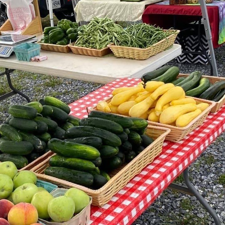Come get your Fresh Produce from the Botetourt Farmers Market tomorrow 7/3 from 9am - 12pm. 

We will also be set up in the parking lot of the Exxon on 460 in Montvale at Mountain View Church Rd until 12pm. 
🥒🫑🍑🍏 #laymanfamilyfarms #laymanfamilyf