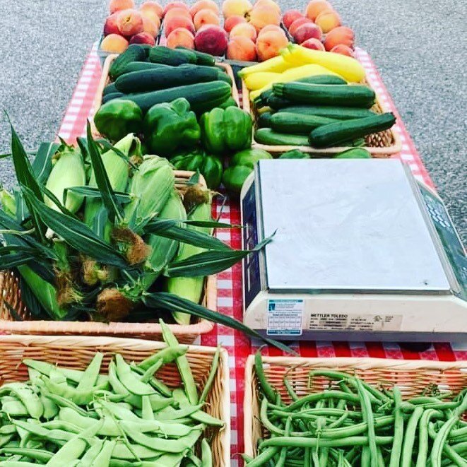We will be at the Salem farmers market tomorrow 7/9 from 8am-12pm.  Come get your fresh produce for the weekend. 🥒🍅🌽🫑🍑 #laymanfamilyfarms #laymanfamilyfarm #salemva #salemvirginia #salemfarmersmarket #roanoke #roanokeva