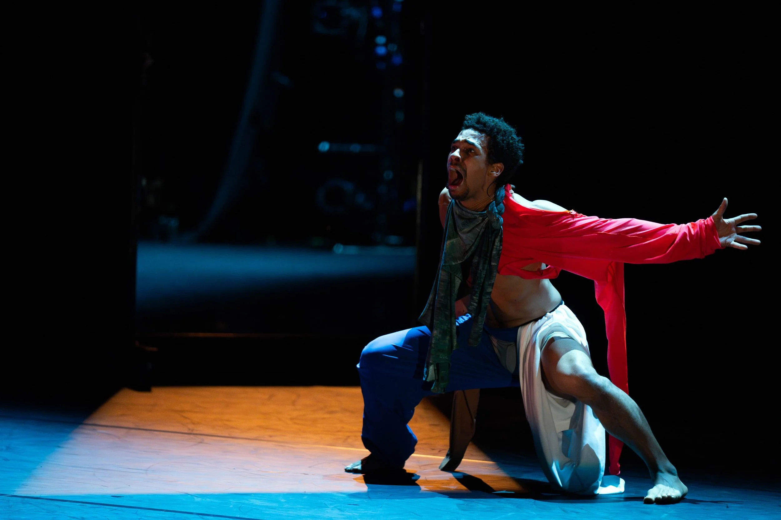 Lyre Liar - Liam Francis, part of Ben Duke in Focus season
