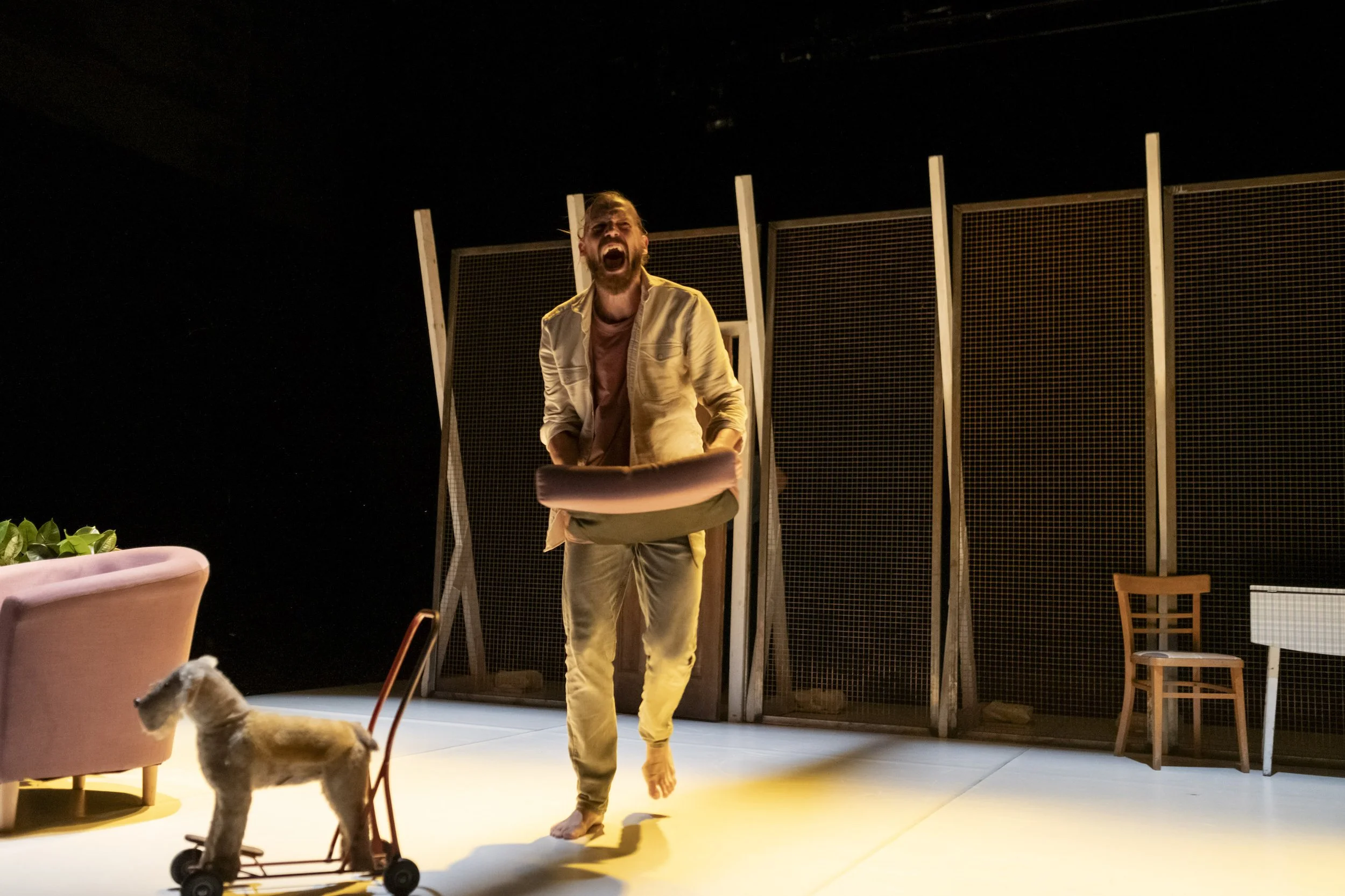 JULIET AND ROMEO_LOST DOG_JERWOOD DANCEHOUSE IPSWICH_PB-76 small.jpg