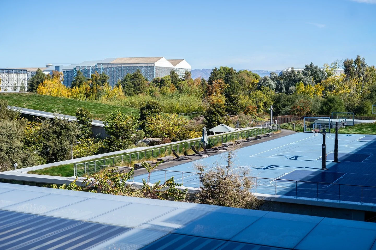 Rivage and Woody at Microsoft Campus, Mountain View, CA
SPEC is proud to have our mmcit&eacute; site furnishings at the Microsoft campus, giving employees the perfect spot to unwind after work or enjoy a break between a game of volleyball or basketba