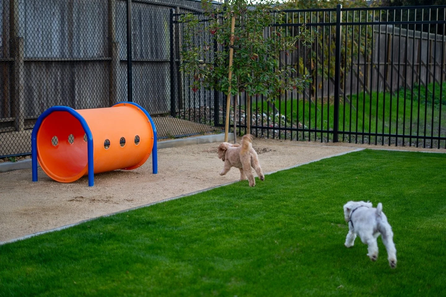☀️ Millbrae&rsquo;s Bayside Manor Park is celebrating its first major renovation in 25 years! The refreshed park now features a modern playground with dedicated 2-5 and 5-12 play areas with equipment from our partners at Burke and Berliner, upgraded 
