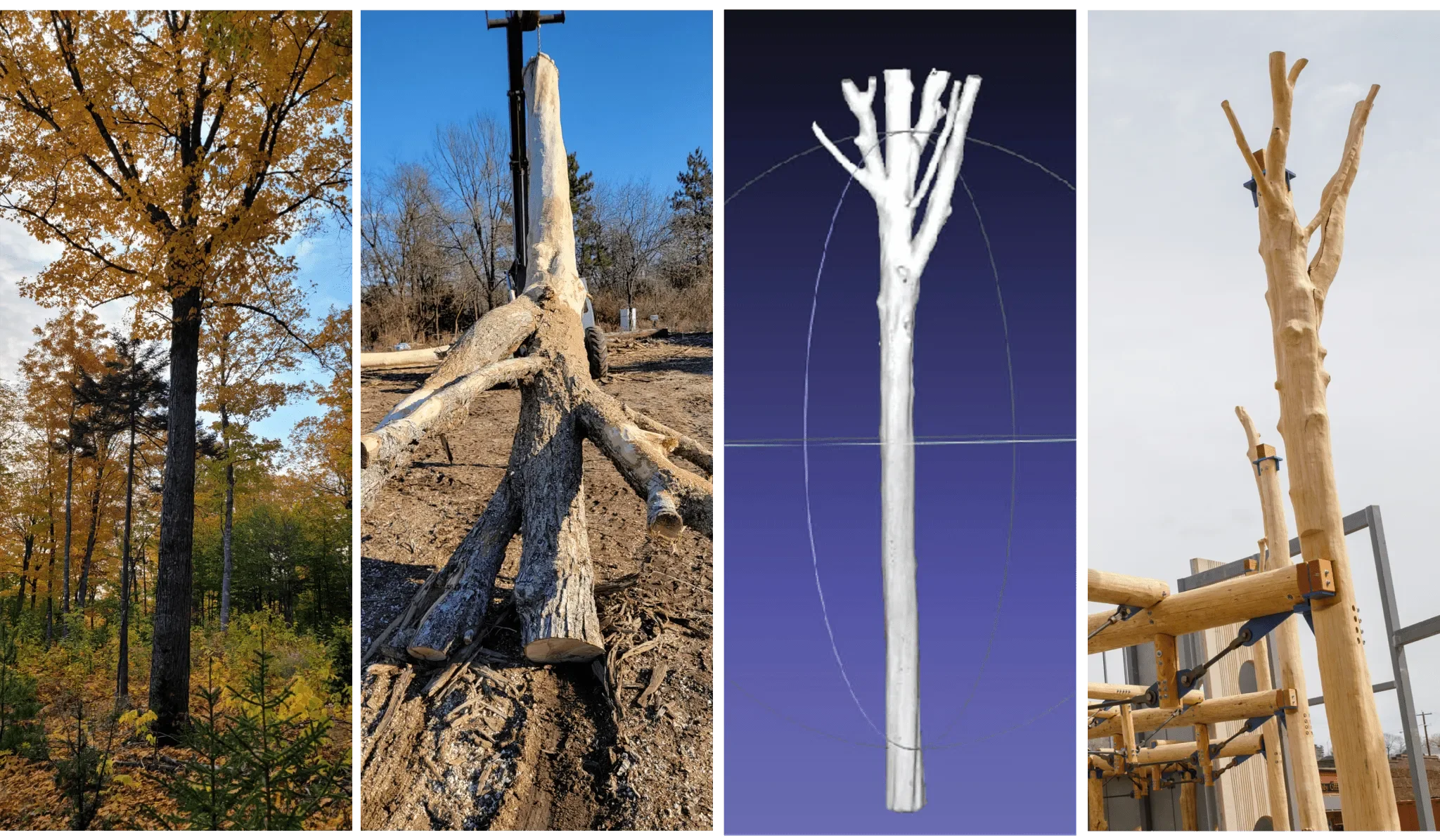 How WholeTrees Leverages Technology To Innovate With Timber - Read More →