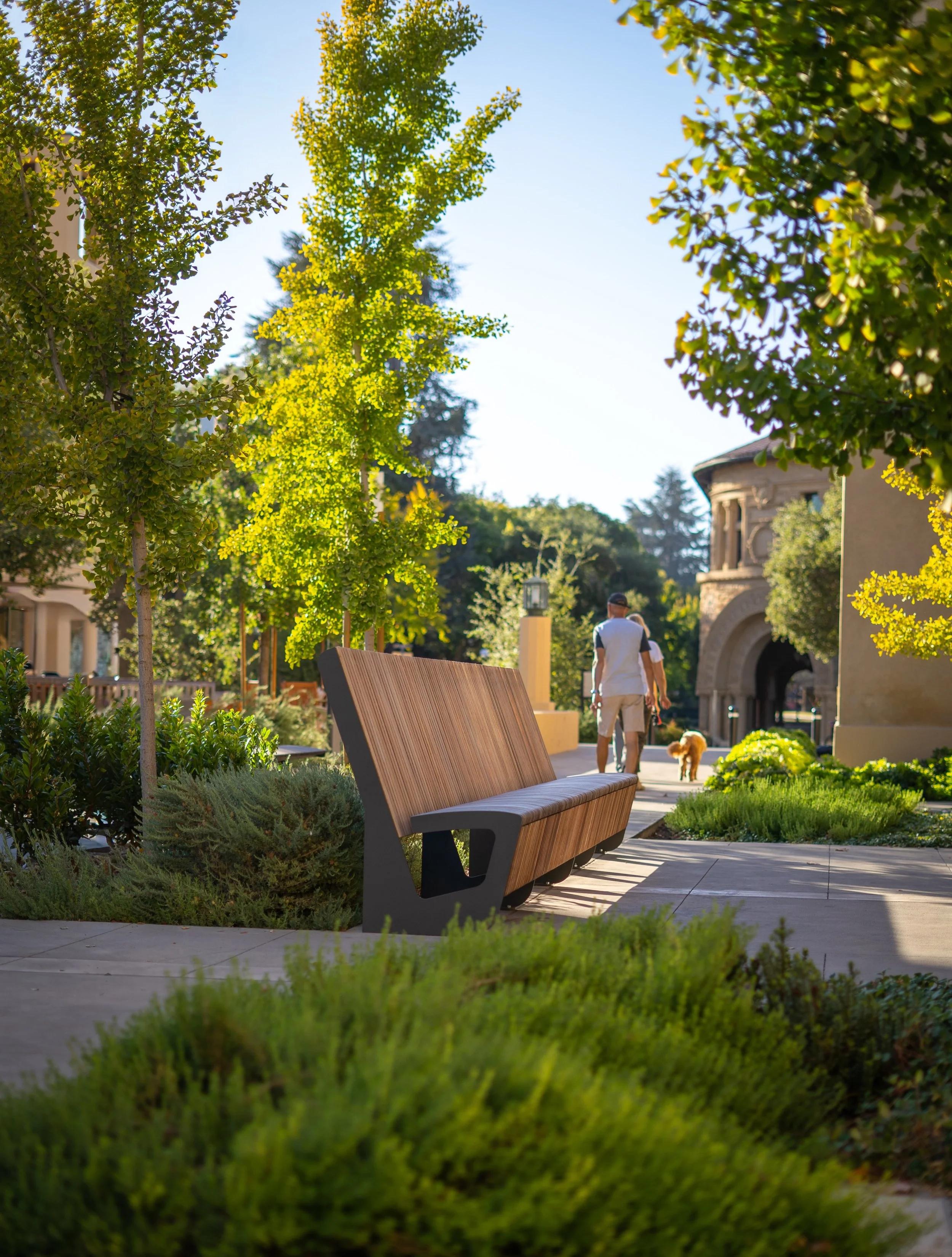 Making campuses beautiful: Stanford University 

SWA has partnered with Stanford University for many years on landscape renovations and campus enhancements, creating outdoor spaces that support learning and connection.

SPEC Play is proud to have con