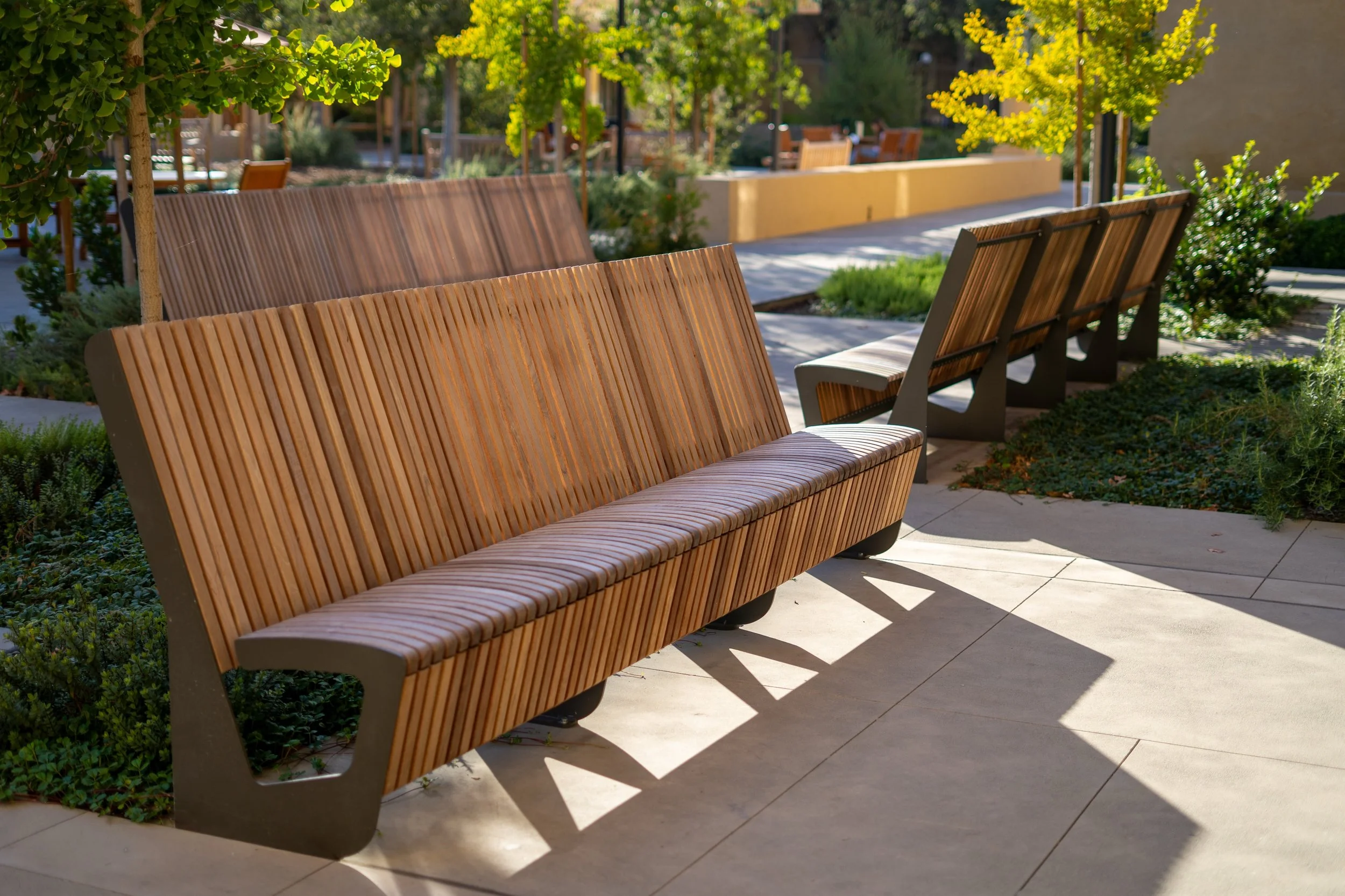 Making campuses beautiful: Stanford University 

SWA has partnered with Stanford University for many years on landscape renovations and campus enhancements, creating outdoor spaces that support learning and connection.

SPEC Play is proud to have con
