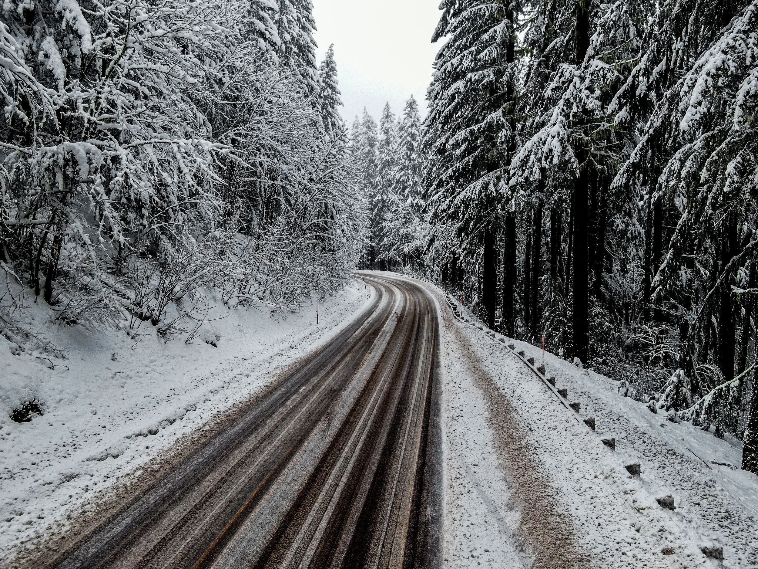Snow.extra.forest.6+road.jpg