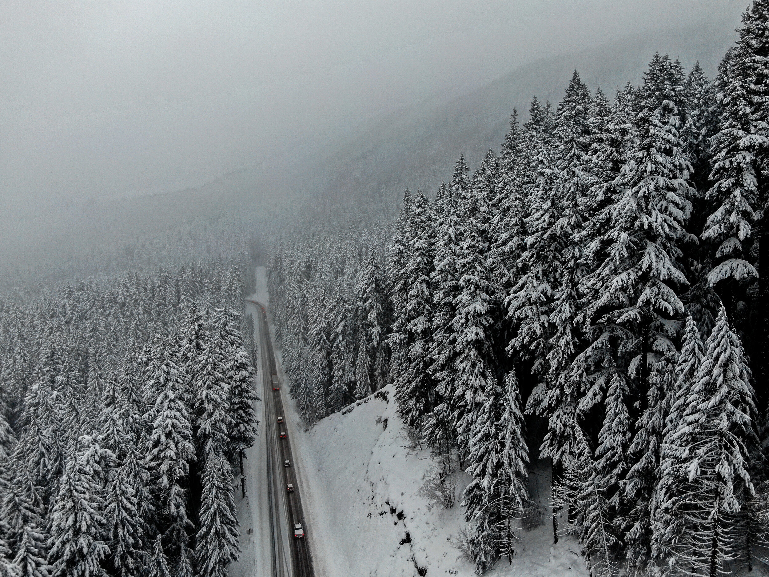 Snow.extra.forest.2+road.jpg