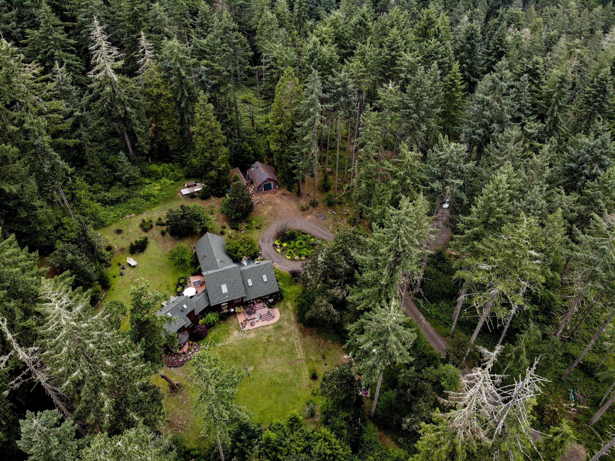 1-DJI_0007.jpg