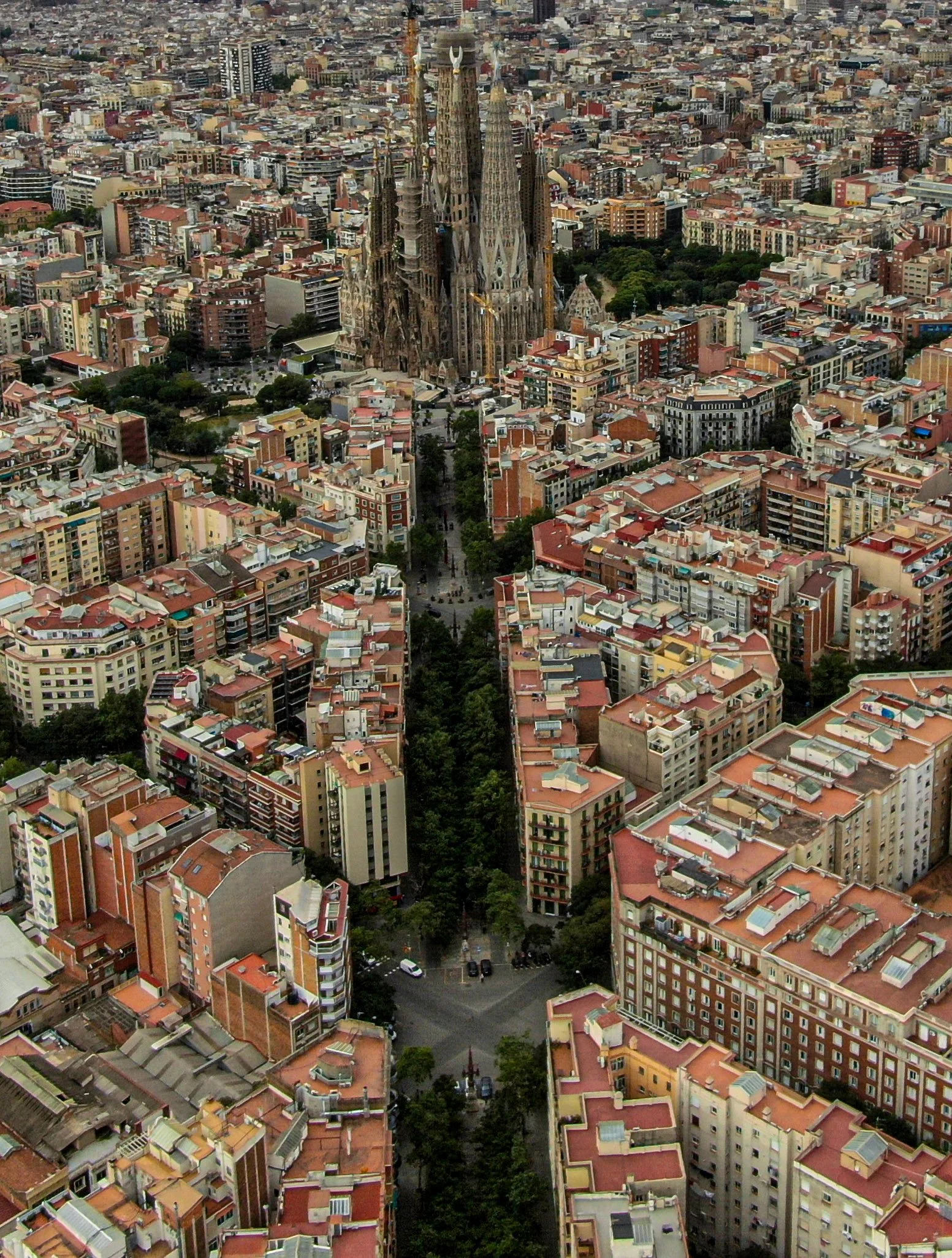 49-DJI_0424.jpg