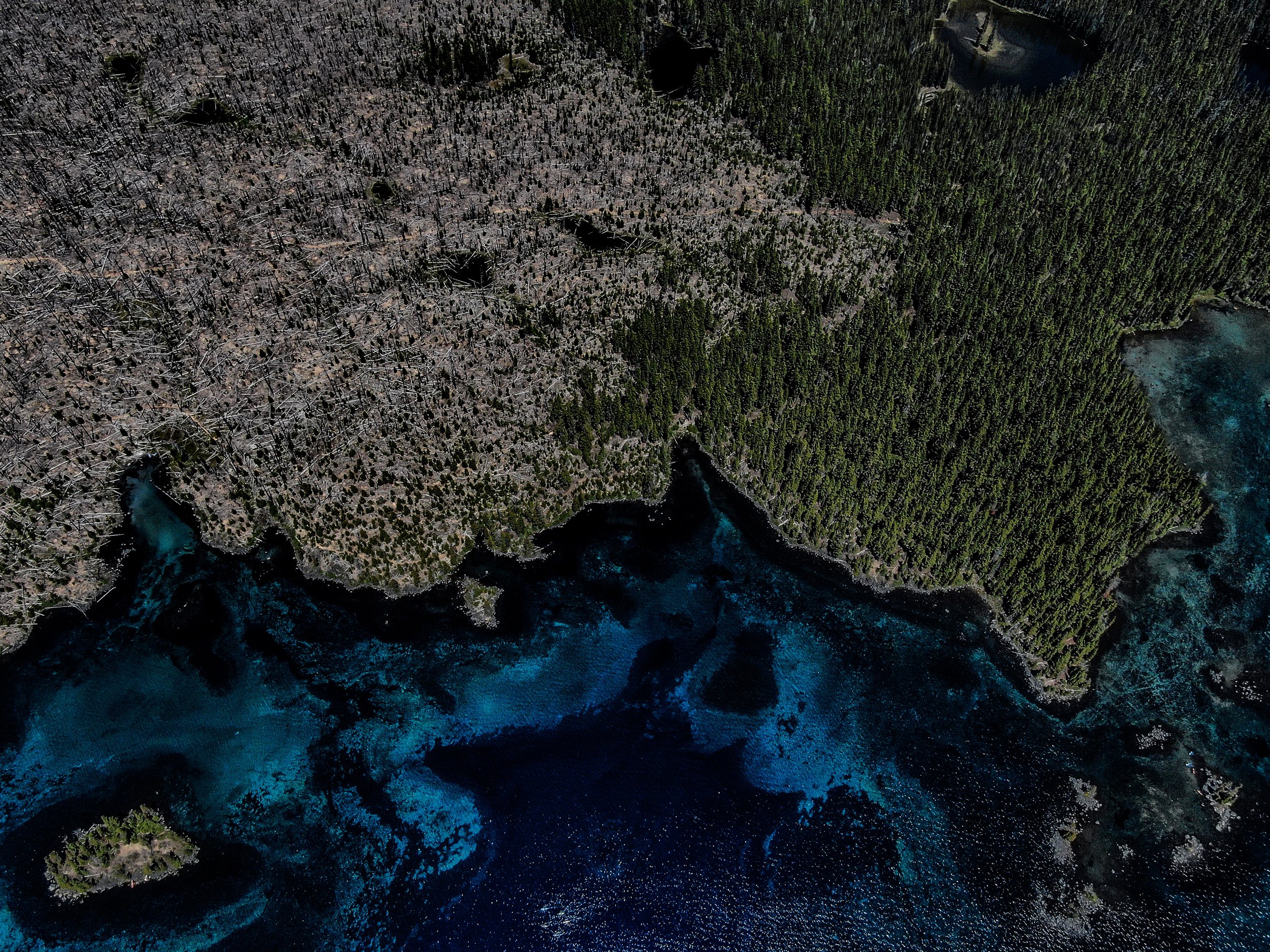 18-DJI_0431.jpg