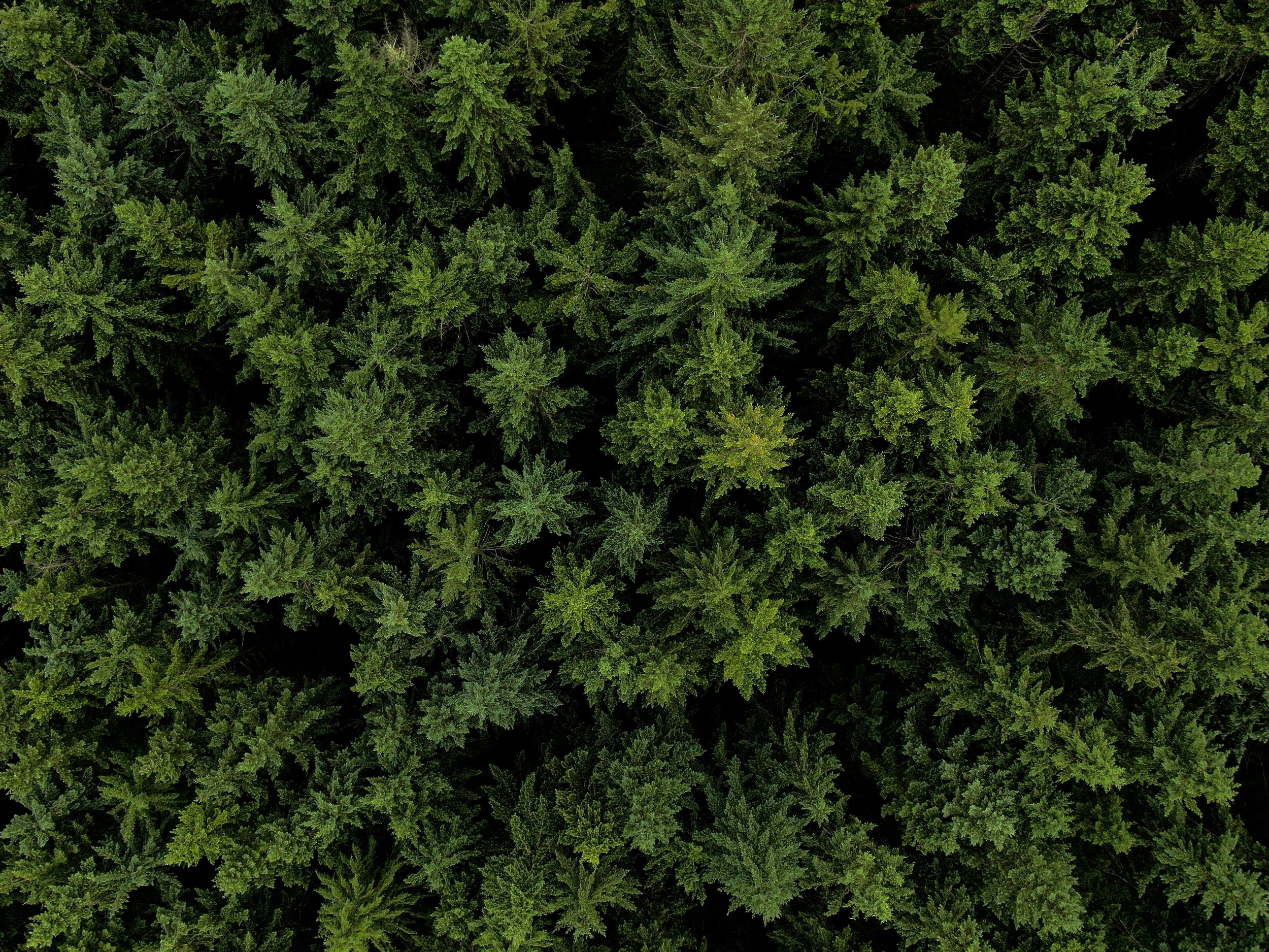 16-DJI_0308.jpg