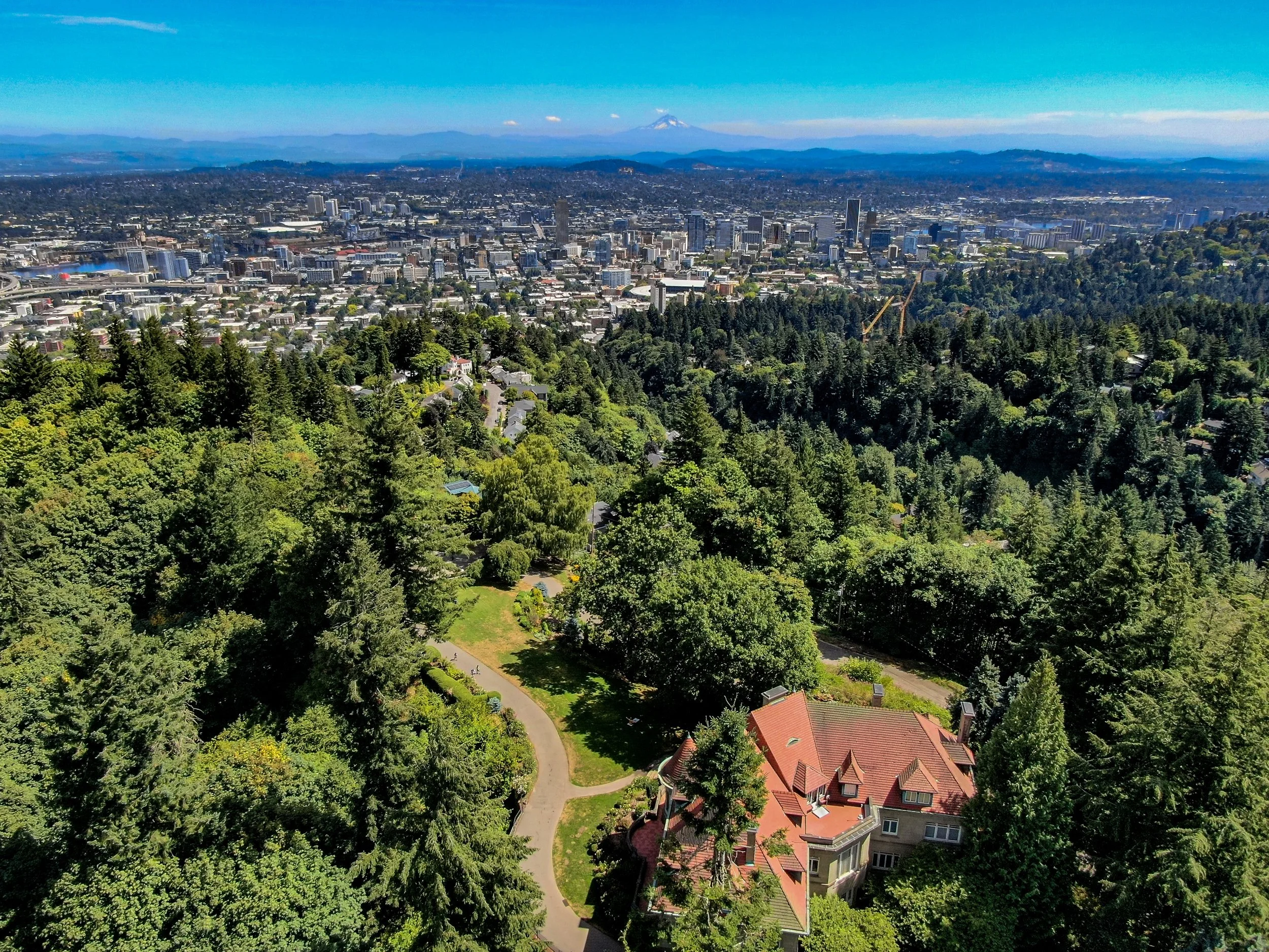 25-DJI_0656.jpg