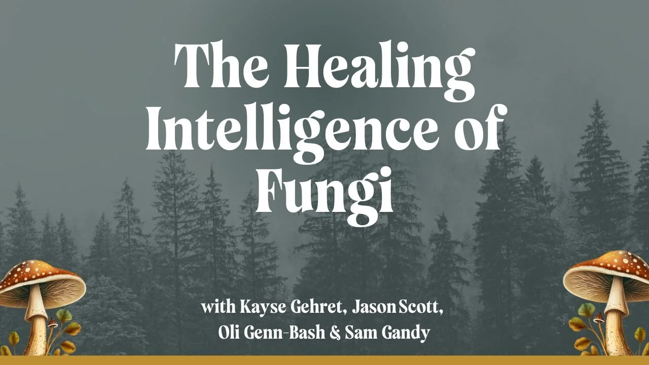 The Healing Intelligence of Fungi with Sam Gandy, Oli Genn-Bash &amp; Jason Scott