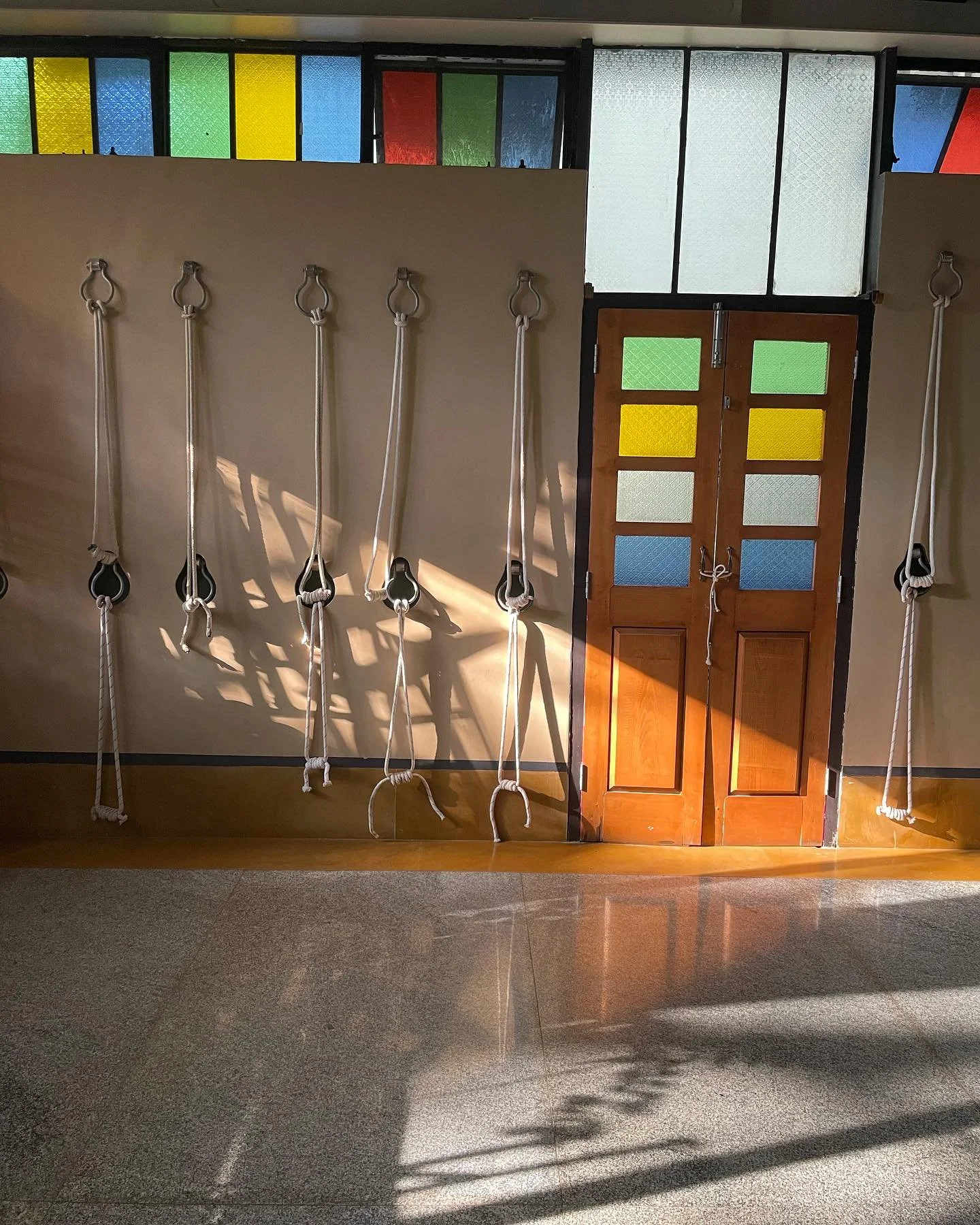 Early morning sunshine and practice at the Iyengar Yoga Studio in Bangalore, India. 

Thank you for hosting me in your beautiful space.  @iyengaryoga_learning_teaching 🙏🏽❤️