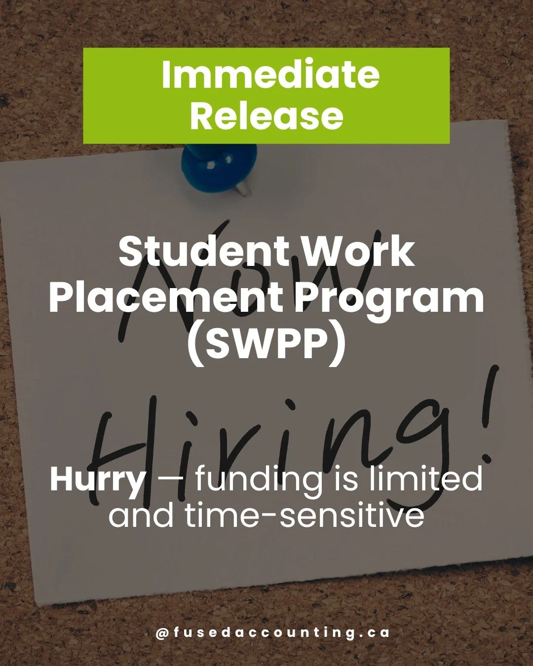 Canadian employers can receive wage subsidies when hiring post-secondary students through the Student Work Placement Program (SWPP). The program supports paid work placements that help students gain real-world experience while reducing hiring costs f