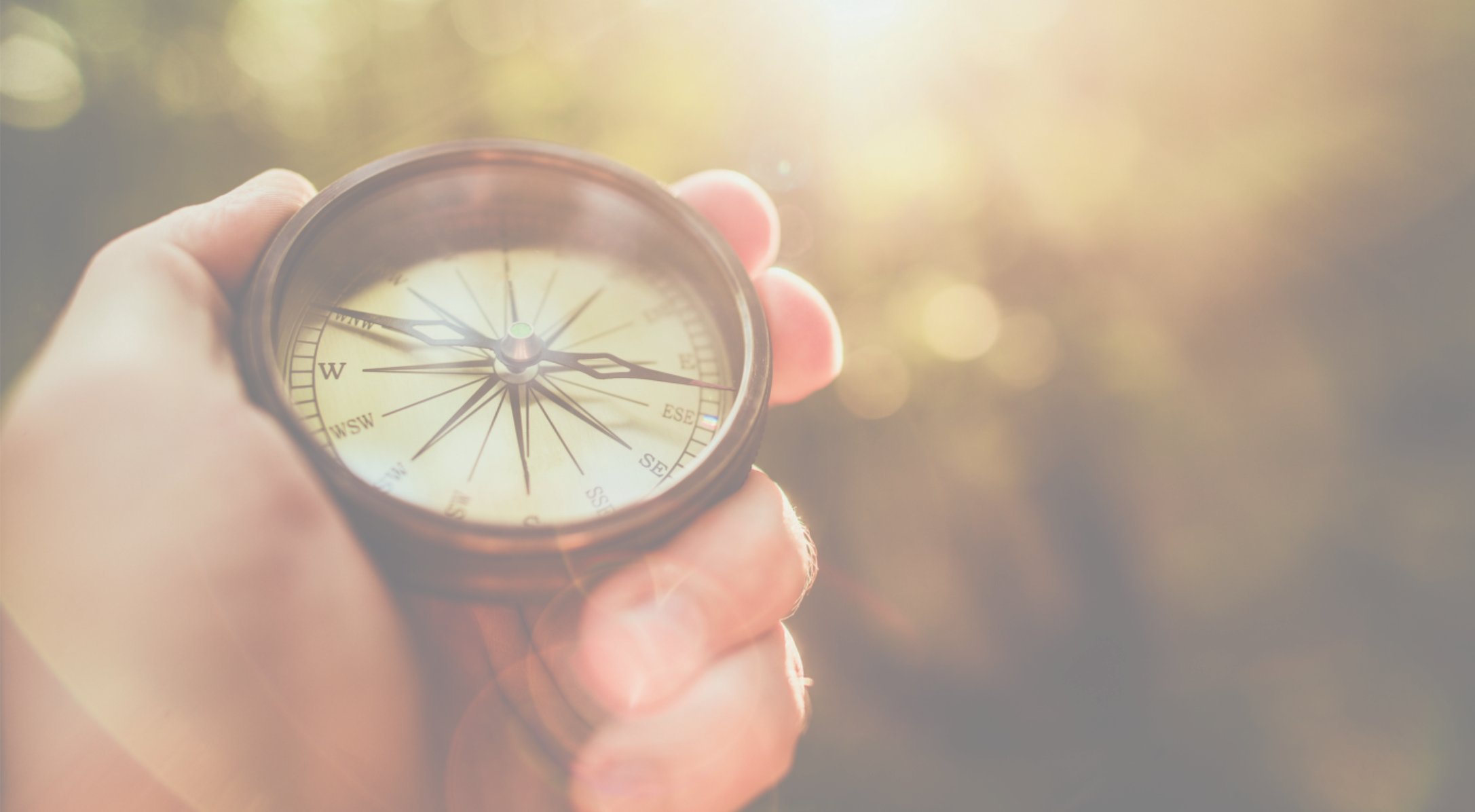 The North Star Journey The Compass at Fused Accounting