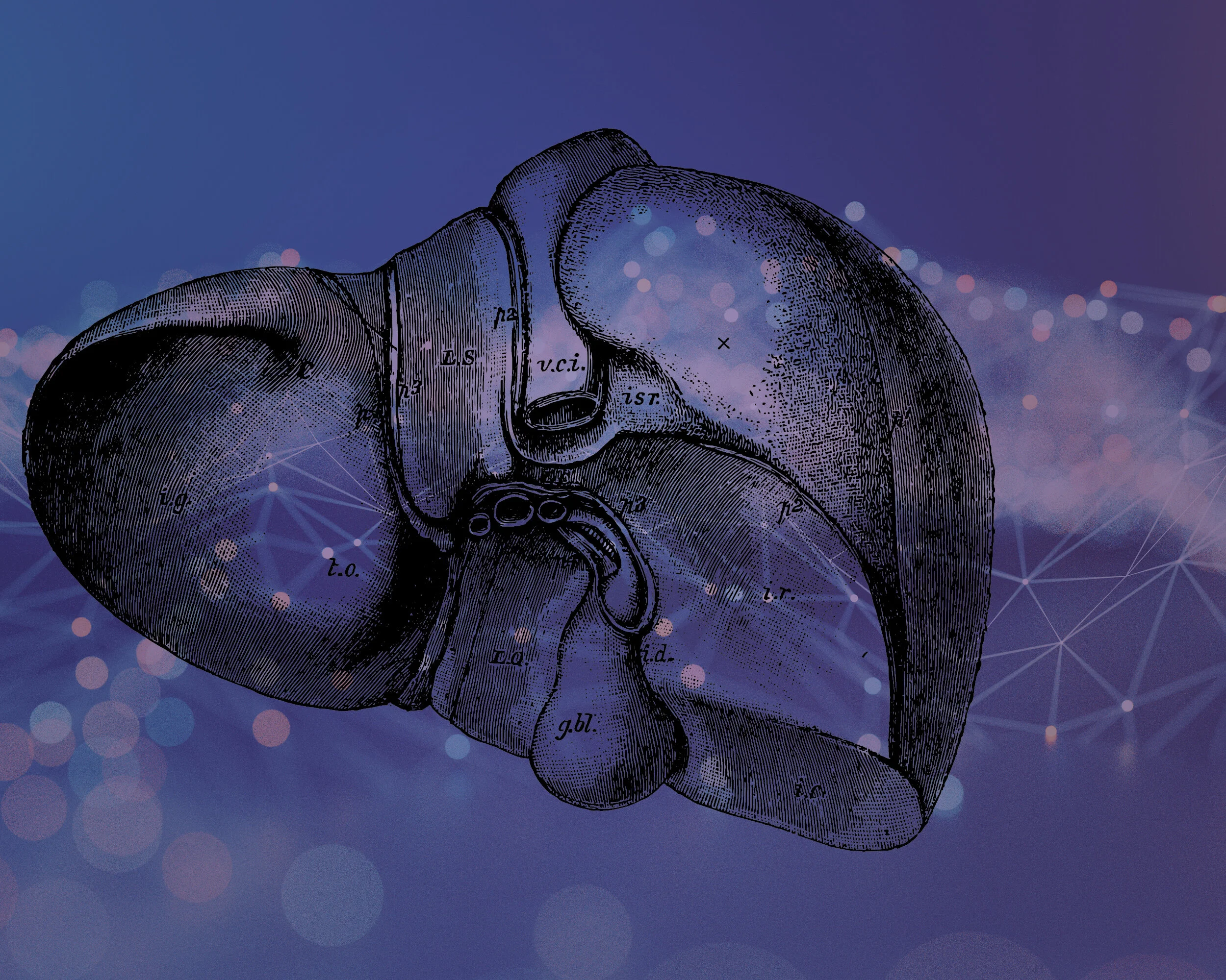 Javelin Biotech — Contact