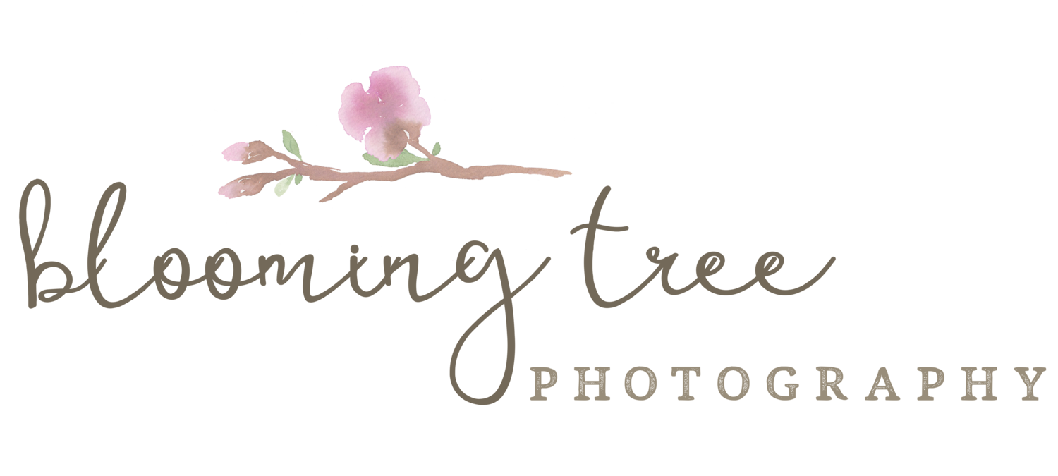 Blooming Tree Photography Site