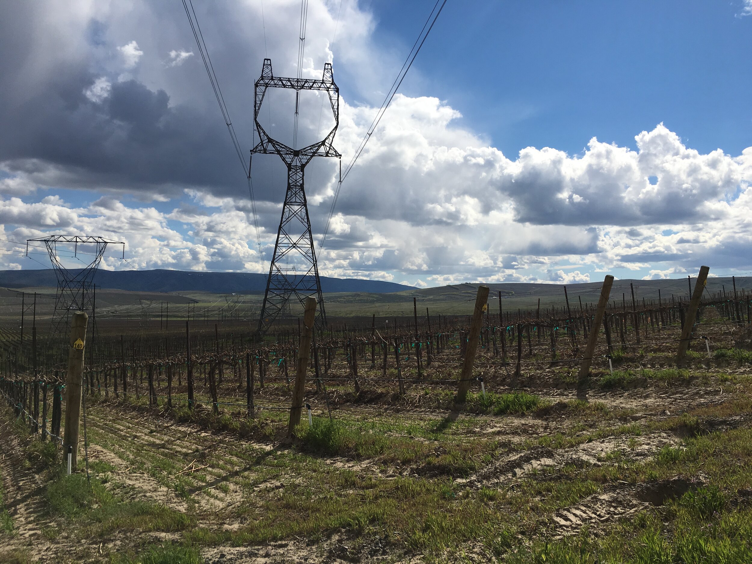 CESCL Stormwater Certification — Greenwood Environmental