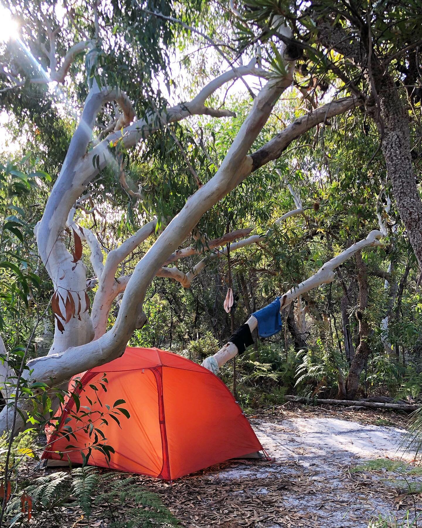 I was 24 and dealing with profound heartache the first time I fantasized about doing a solo overnight hike.🏕 At the time, I was working in international development and had a slightly older coworker named Greg (not his real name), who was an experie