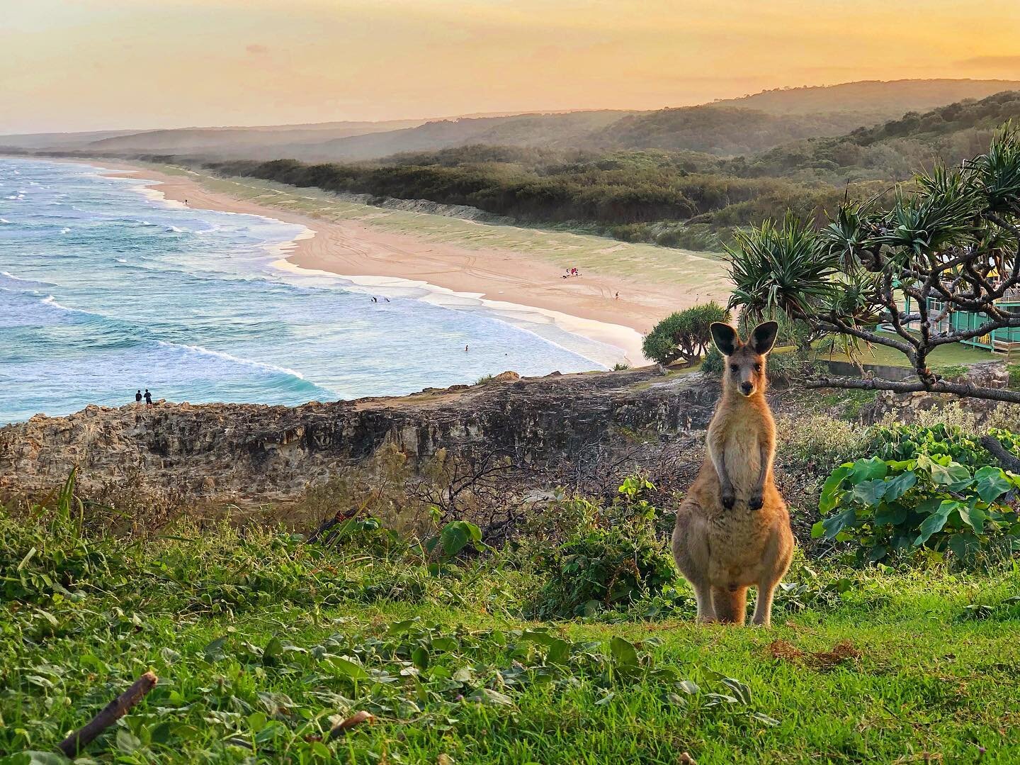 Straddie standard. 🦘Just a 25-minute ferry ride from Cleveland (a suburb of Brisbane), North Stradbroke Island/Minjerribah is the locals&rsquo; answer to K&rsquo;gari (formerly Fraser Island). It&rsquo;s the second largest sand island in the world, 