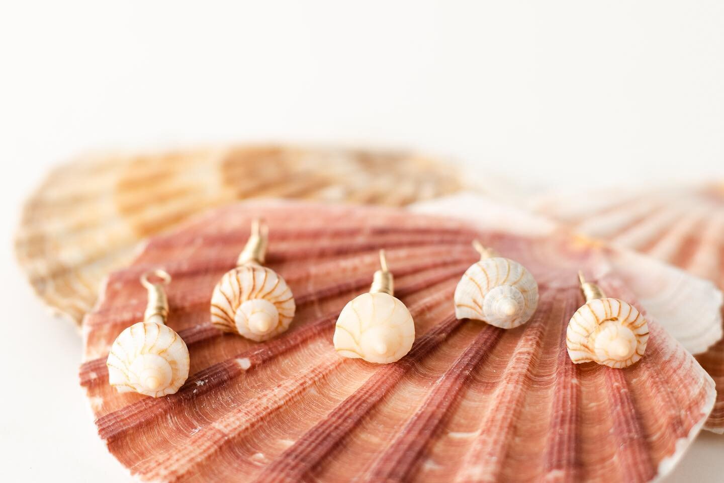 NEW LAUNCH TOMORROW @themoonlitshell 🐚

Thankful for the opportunity to photograph these pretty pieces ✨

Handmade on Kent Island
&bull;
&bull;
&bull;
#thankfulthursday #handmadejewelry #islandjewelry #productphotography #photography #lightningwelk 