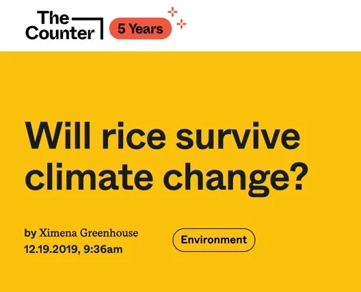 “Although rice consumption is up, rice production is down in commodity rice-growing regions that are becoming prone to inconsistent weather patterns. The challenge, for farmers, is how to meet demand for an inexpensive food source when Mother Nature…